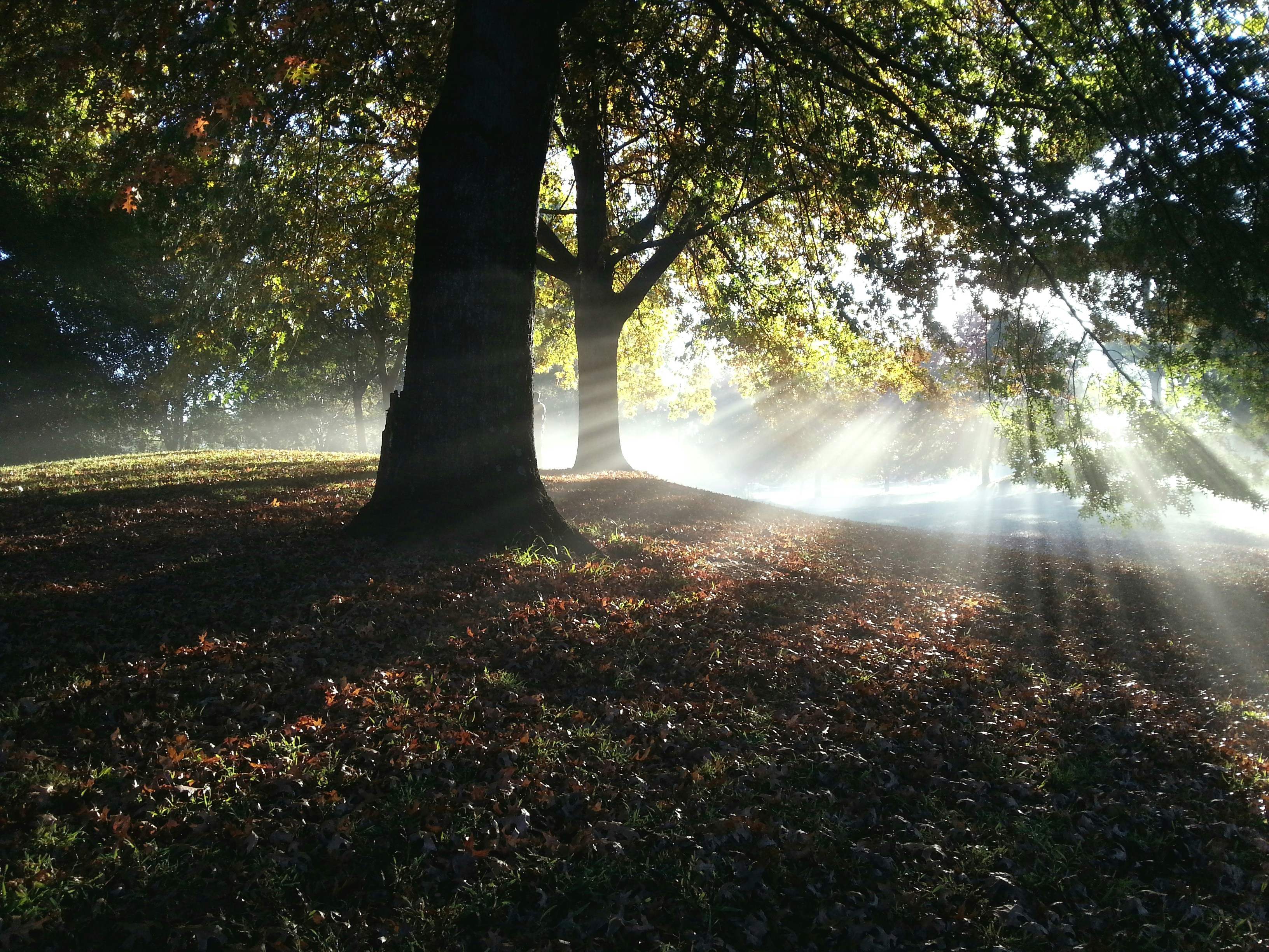 Photo by shauncolinbell