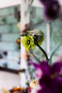 A close-up of artificial green and white flowers with vivid leaves against a blurred background of a glass wall, adorned with additional colorful flowers. The focus is on the green flower in the foreground, with purple and pink flowers softly blurred in the foreground.