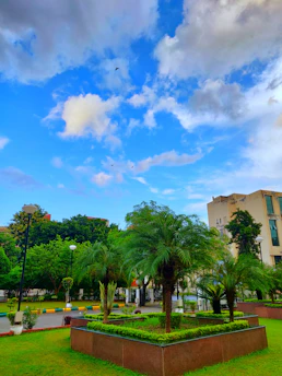 A vibrant, freshly landscaped commercial garden with blooming flowers and neatly trimmed shrubs under a bright blue sky.