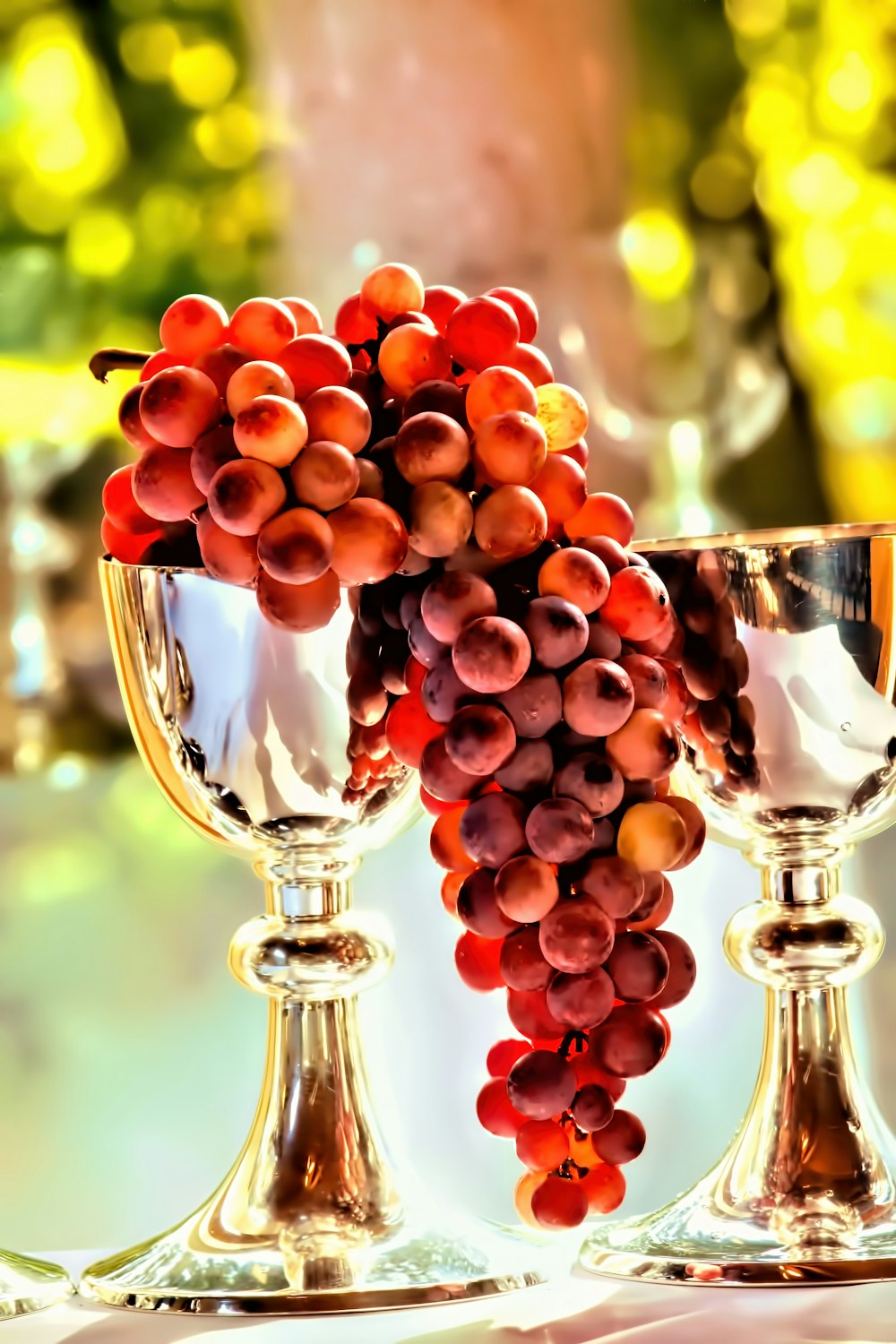 grape fruits