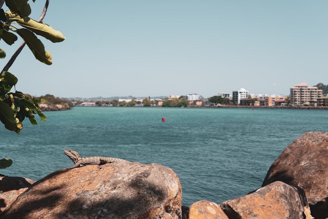 Shore photo spot Tweed Heads NSW Surfers Paradise