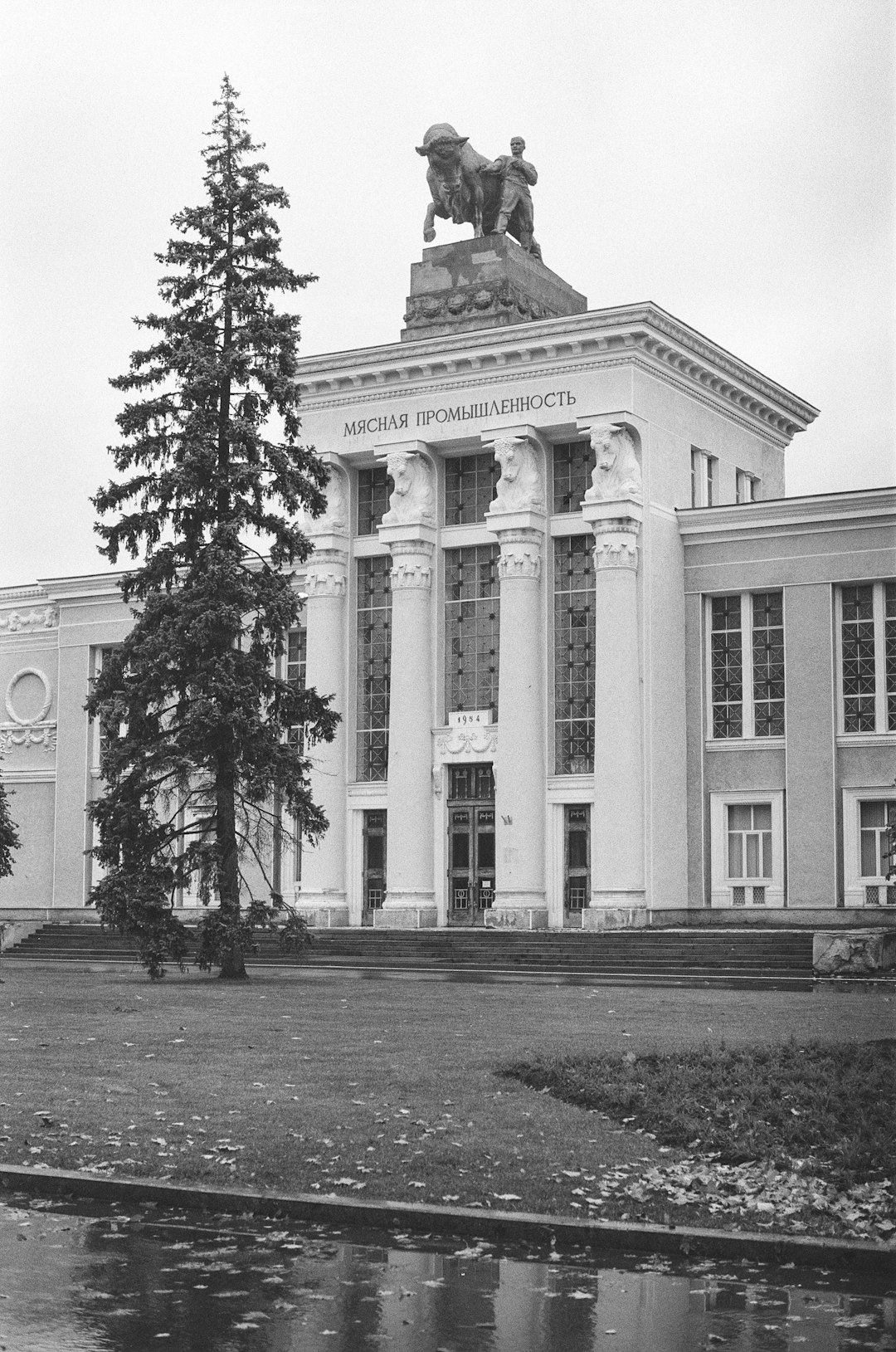 grayscale photo of tree in front of building