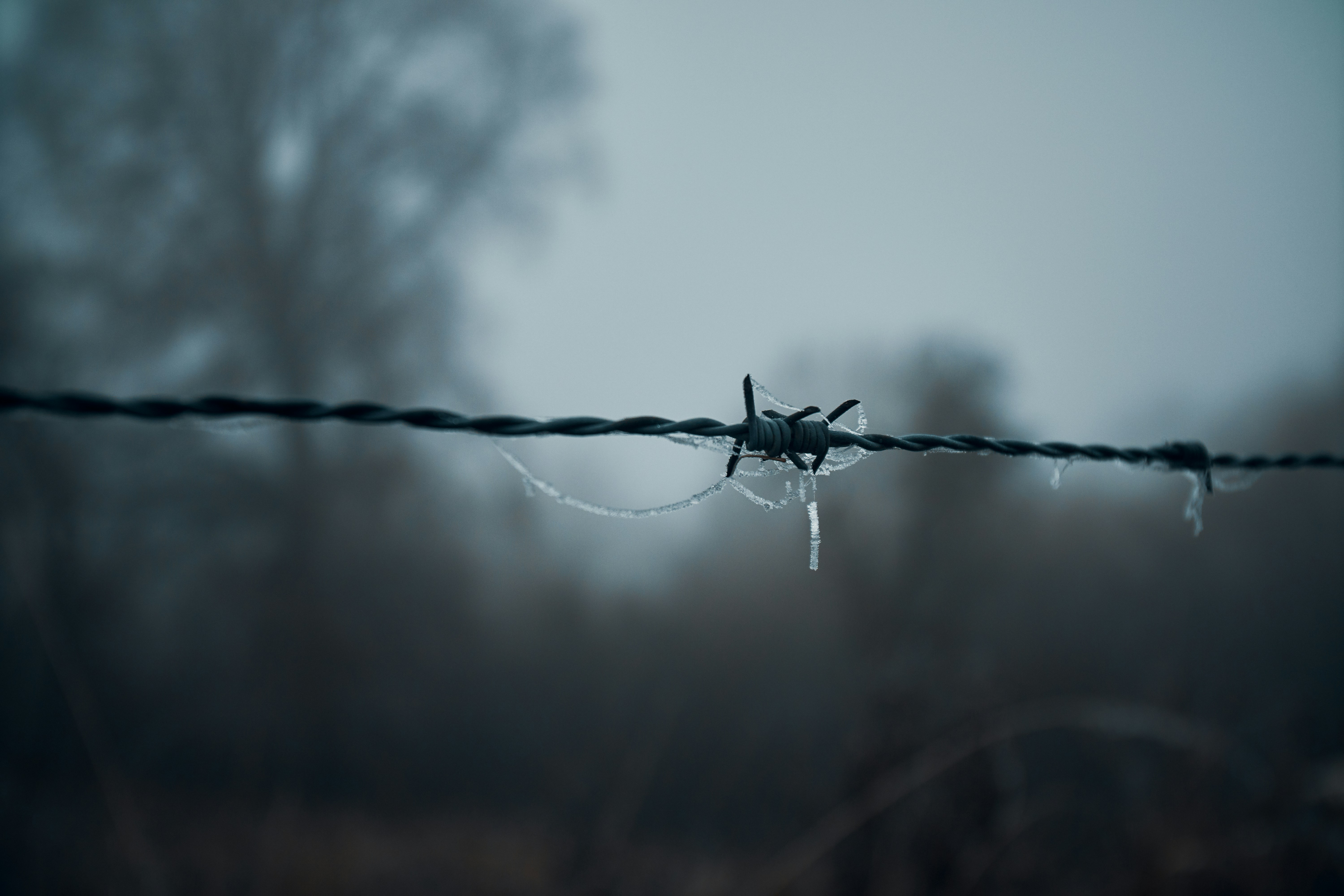 Photo by michaeloeser
