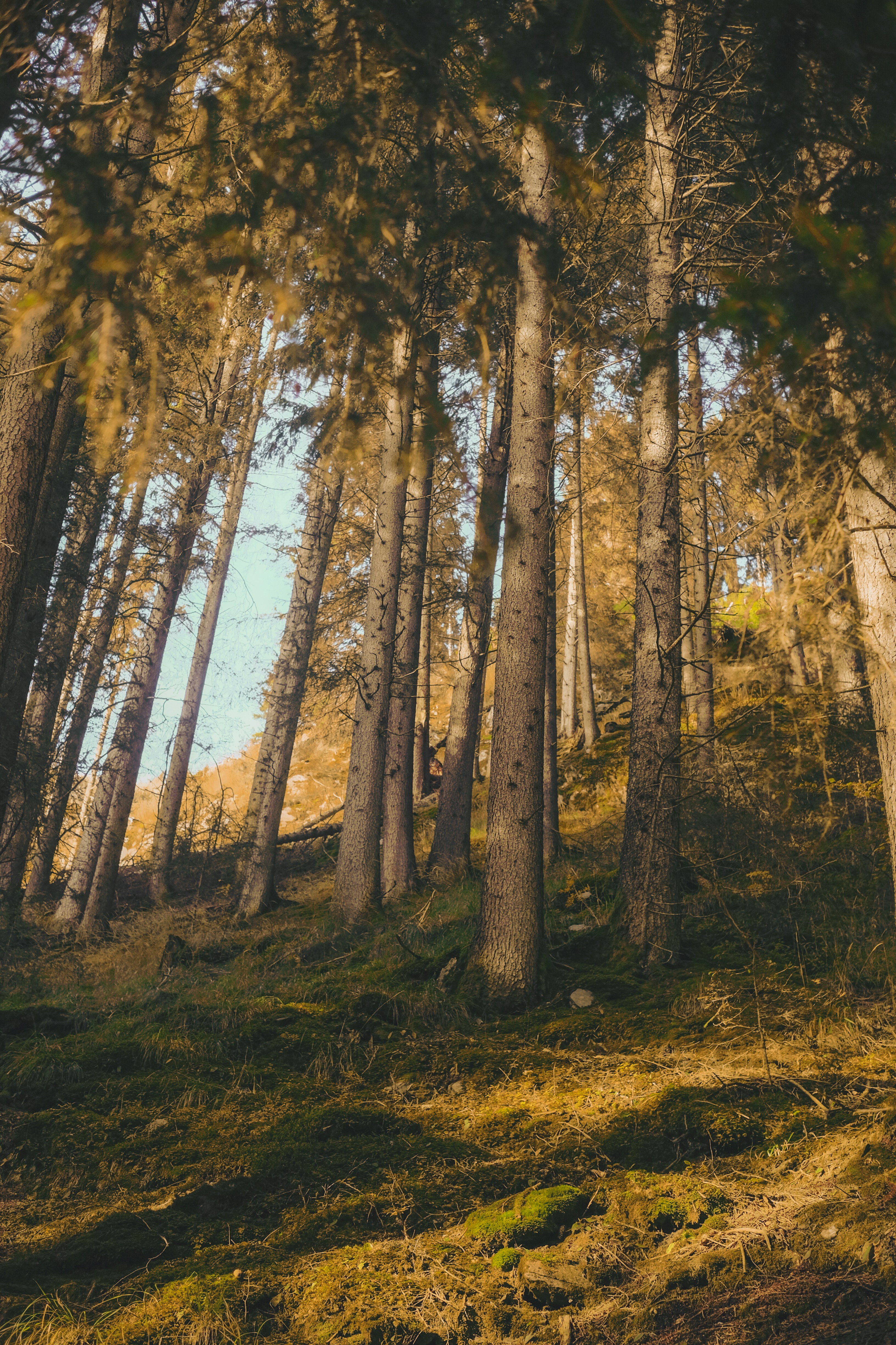 Photo by cristina_gottardi