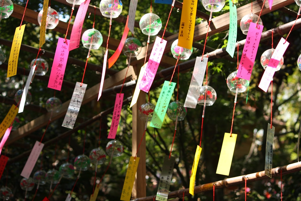 assorted-color lantern decors