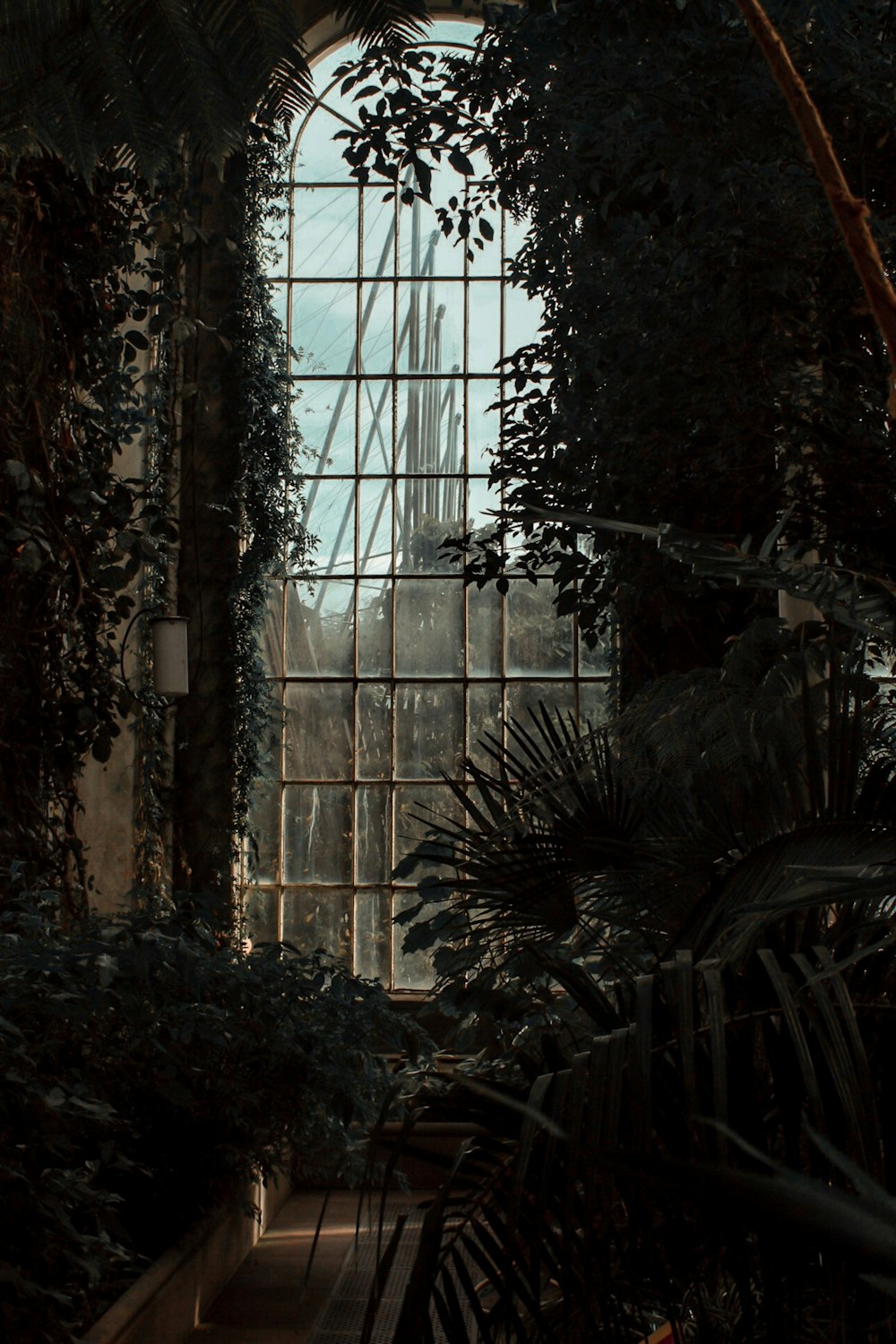 plantas dentro da sala com janela de vidro em arco