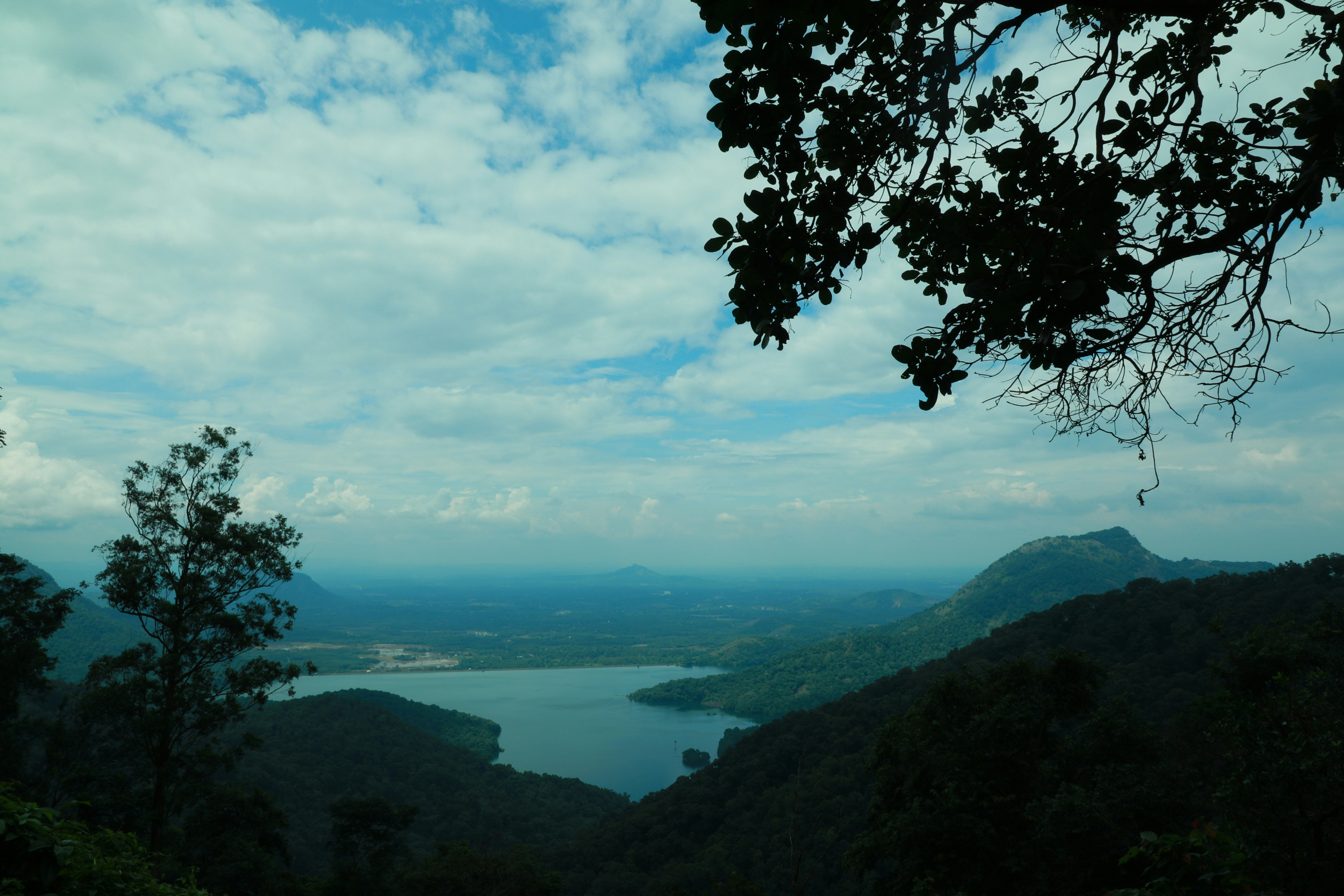 Photo by wilsanphotography