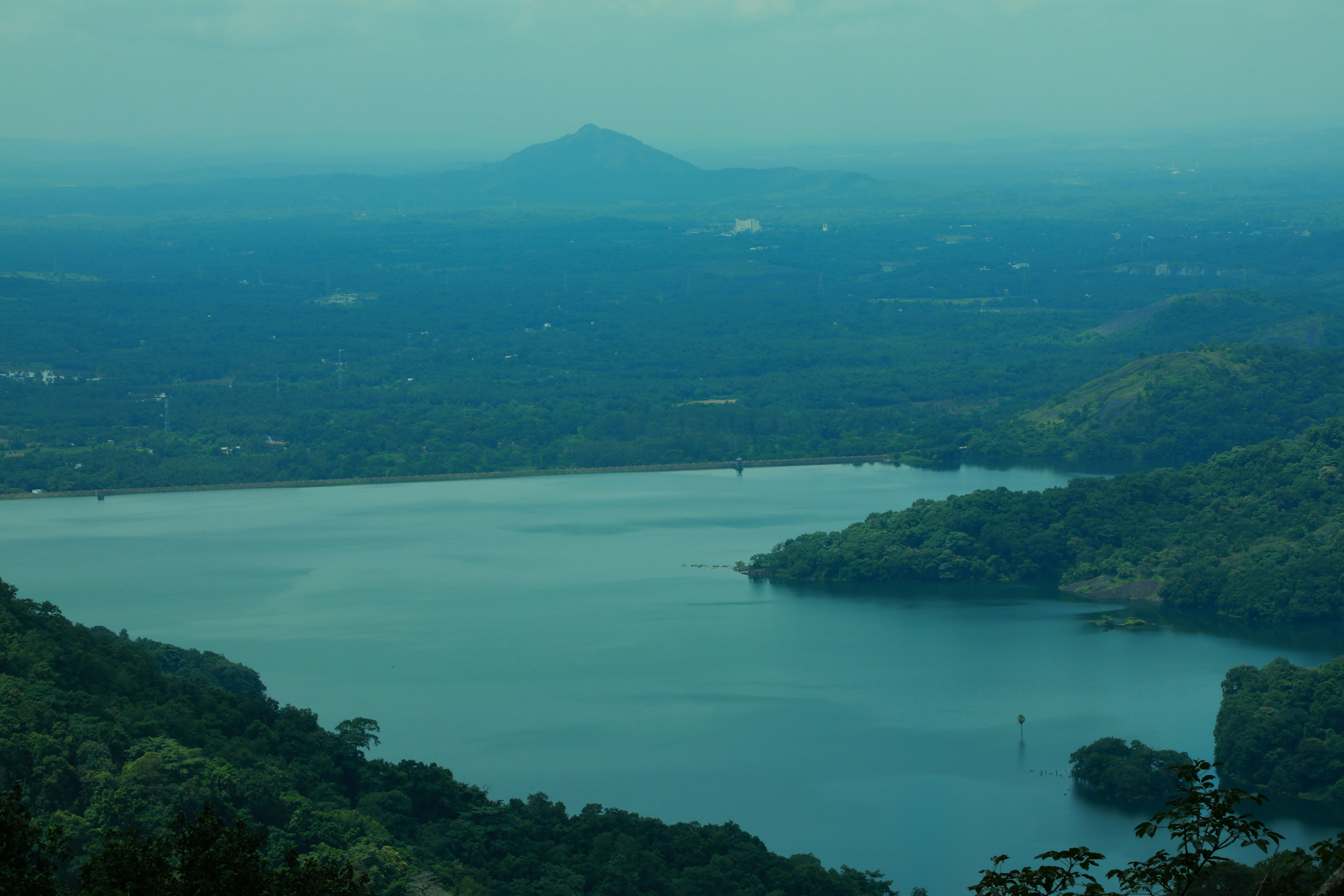 Photo by wilsanphotography