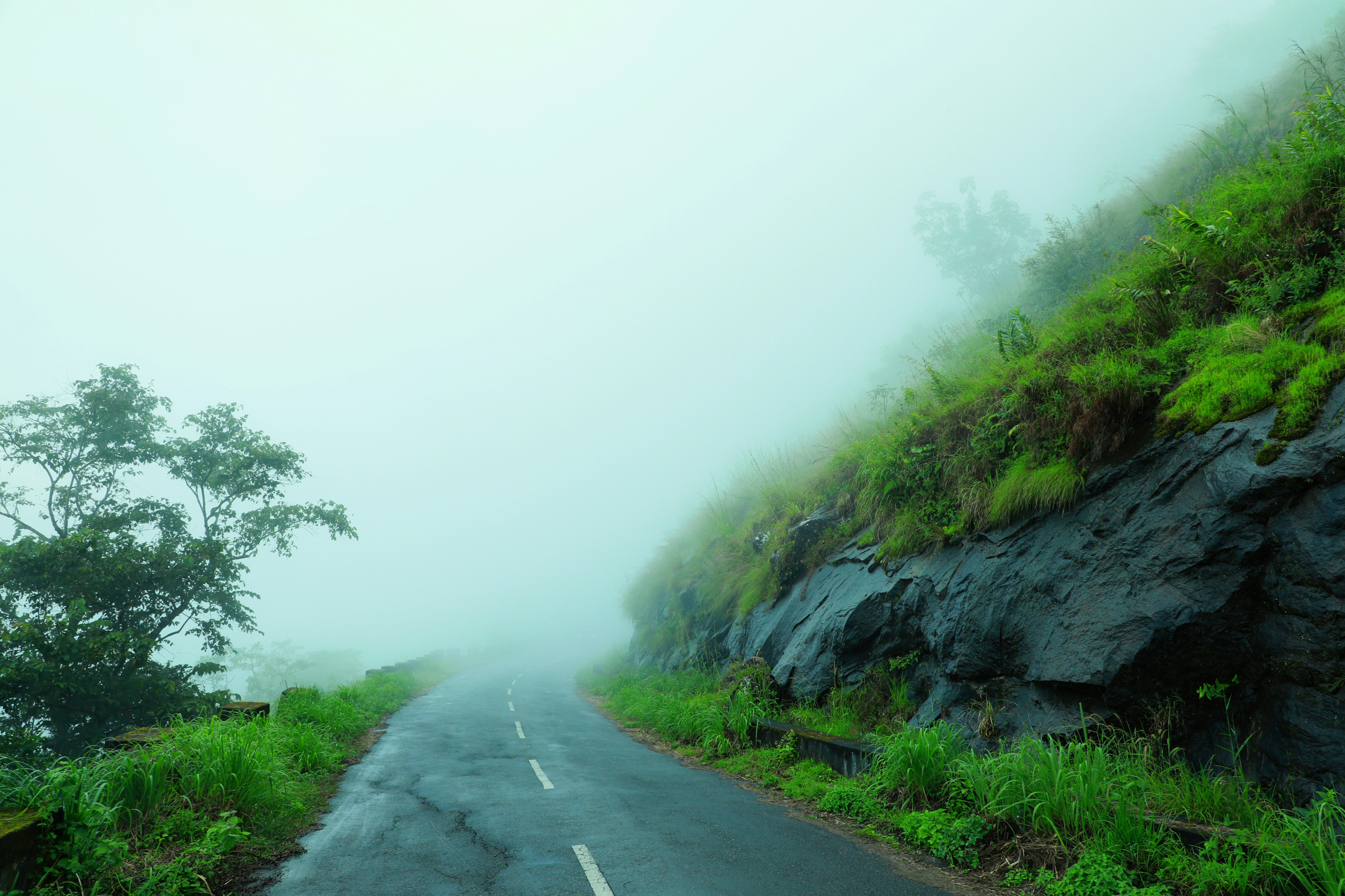 Photo by wilsanphotography