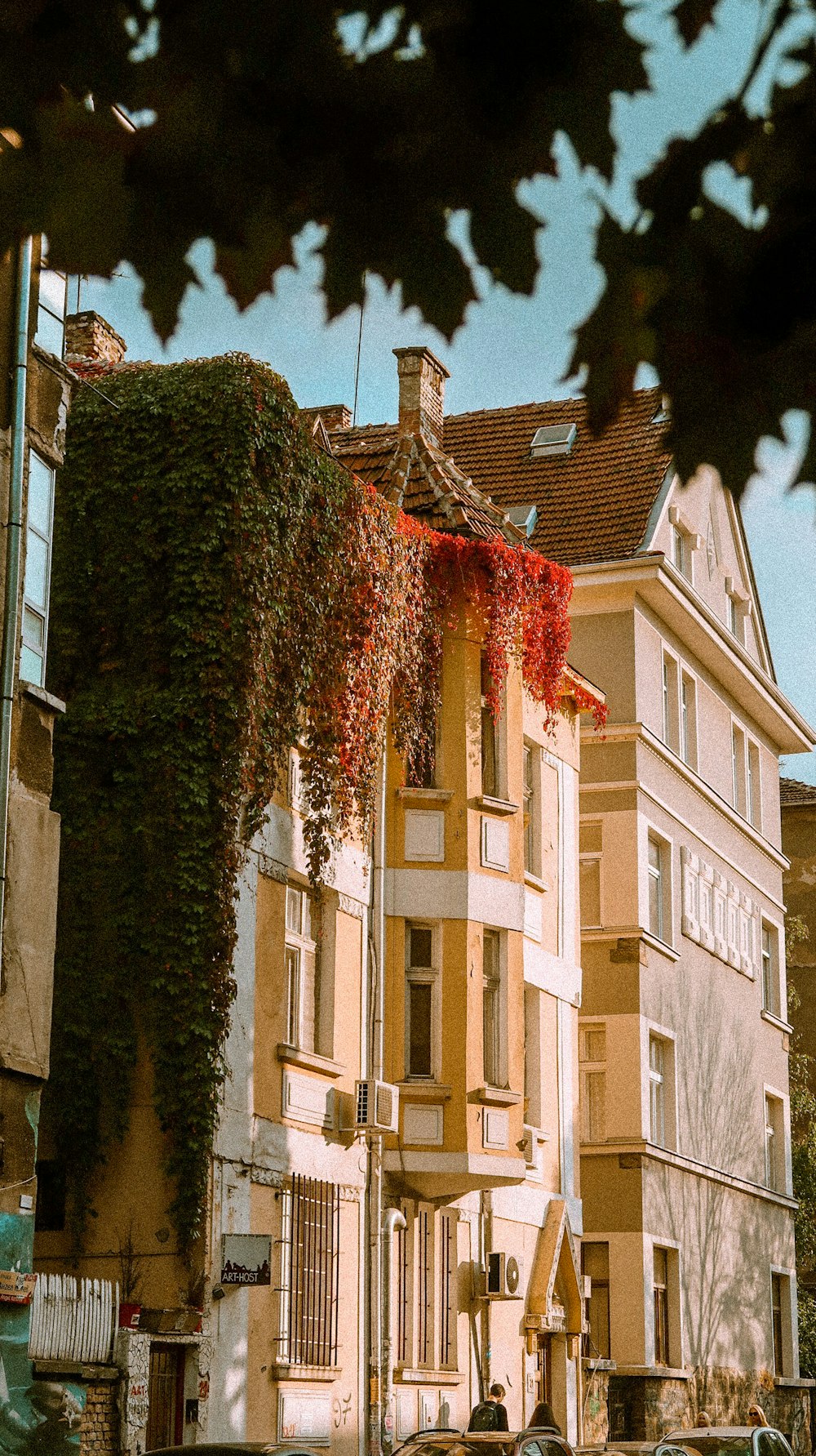 shallow focus photo of brown building