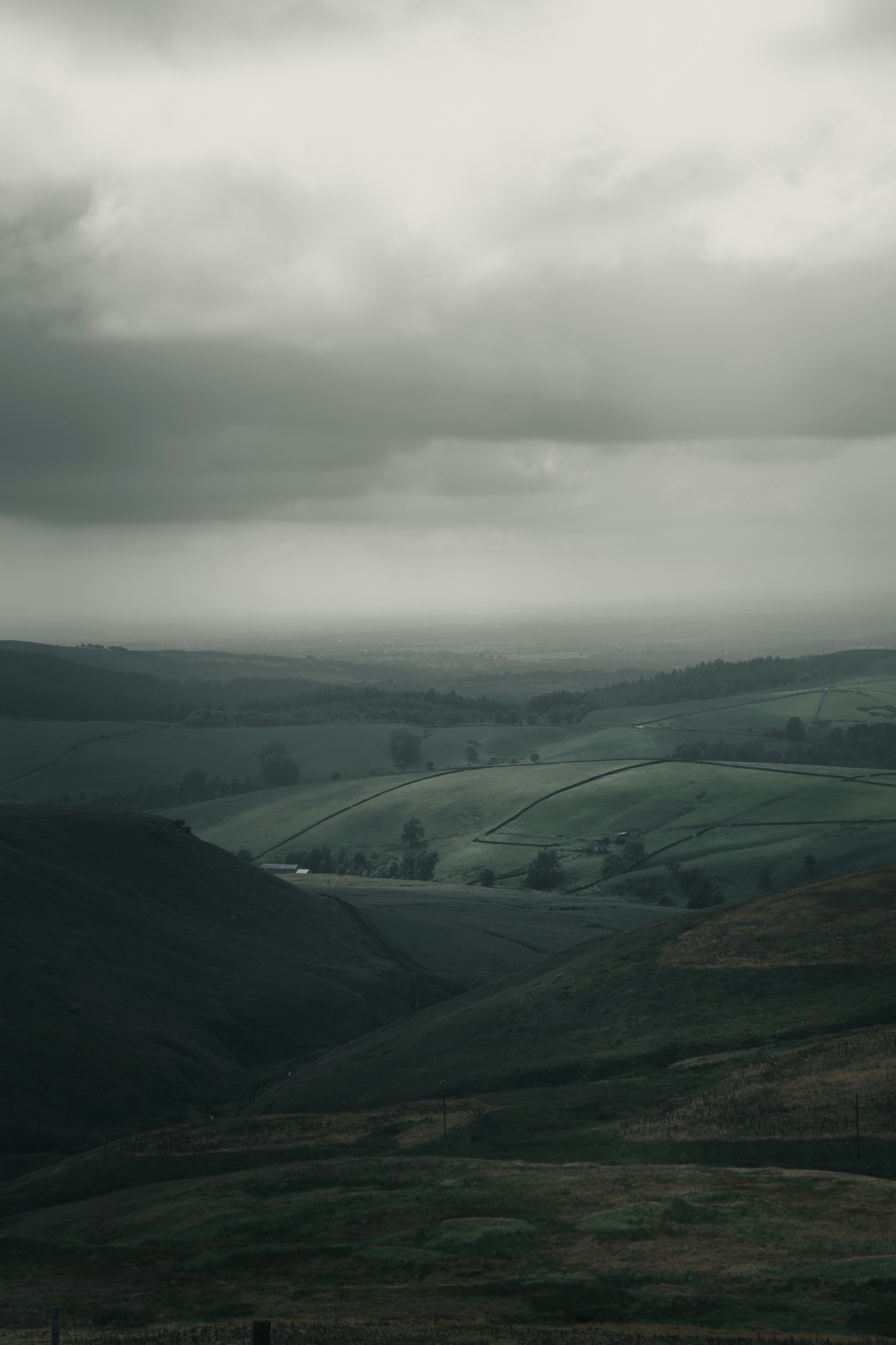 Photo by henry_ravenscroft_