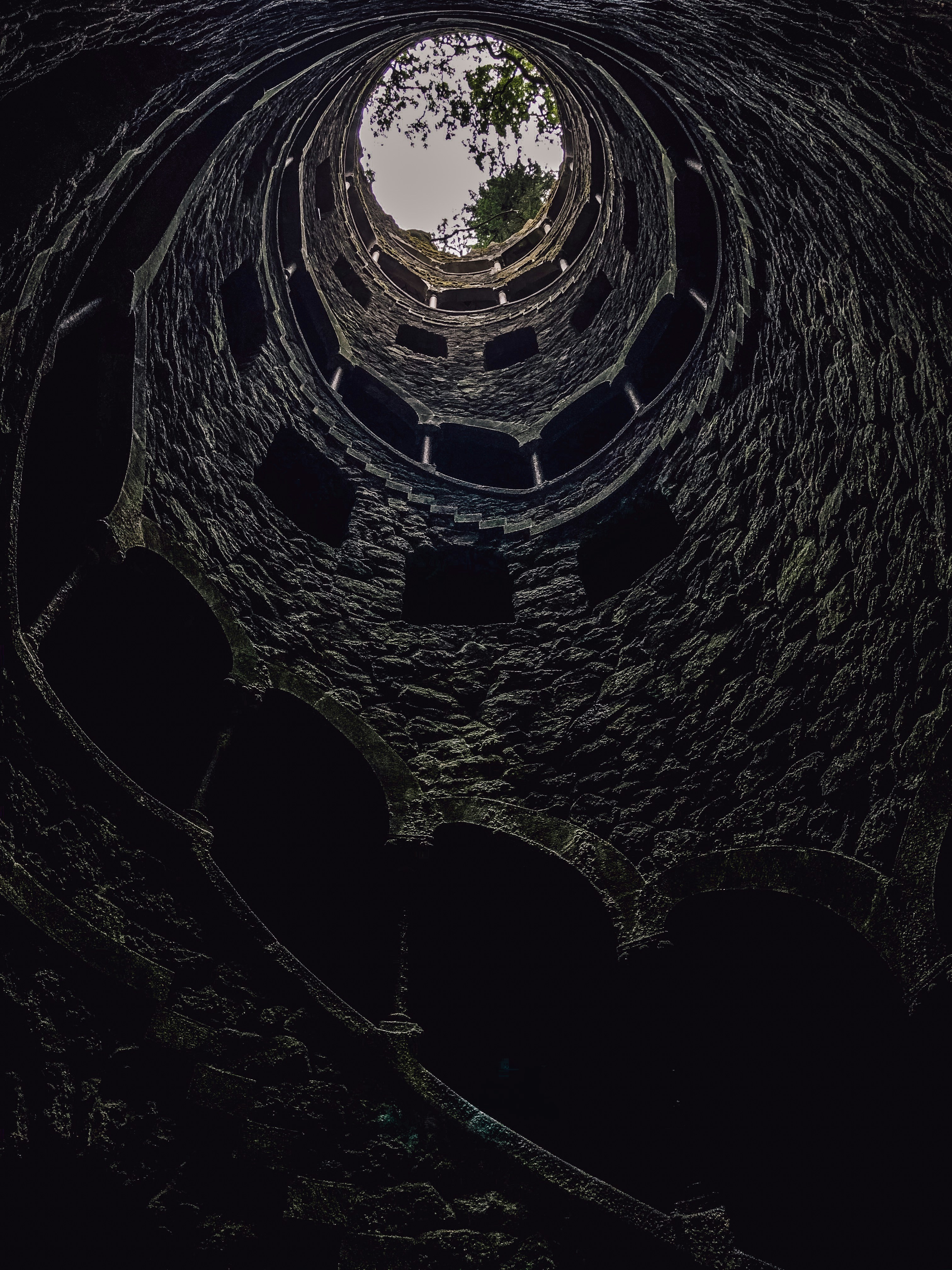 Photo by mihaidogaru