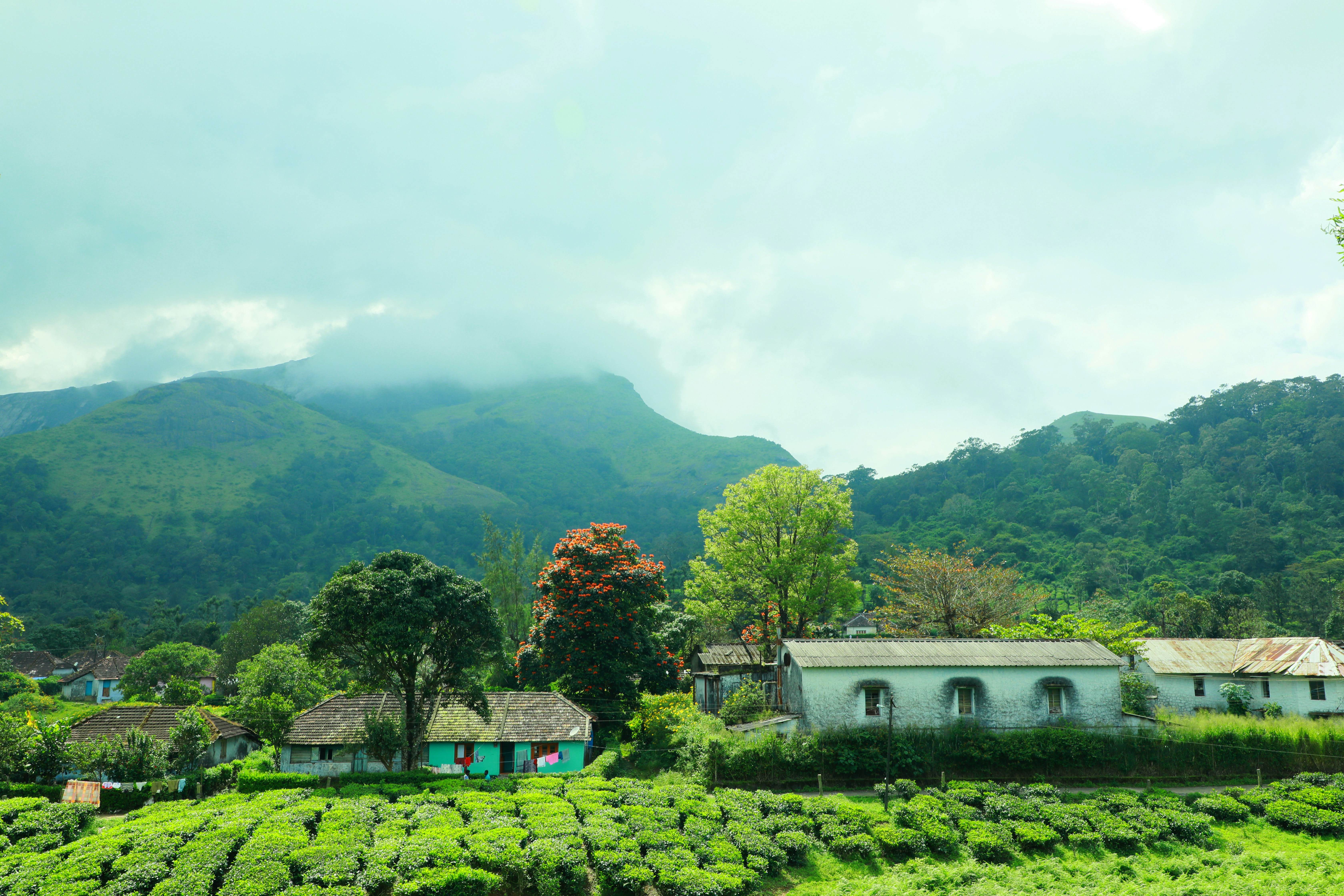 Photo by wilsanphotography