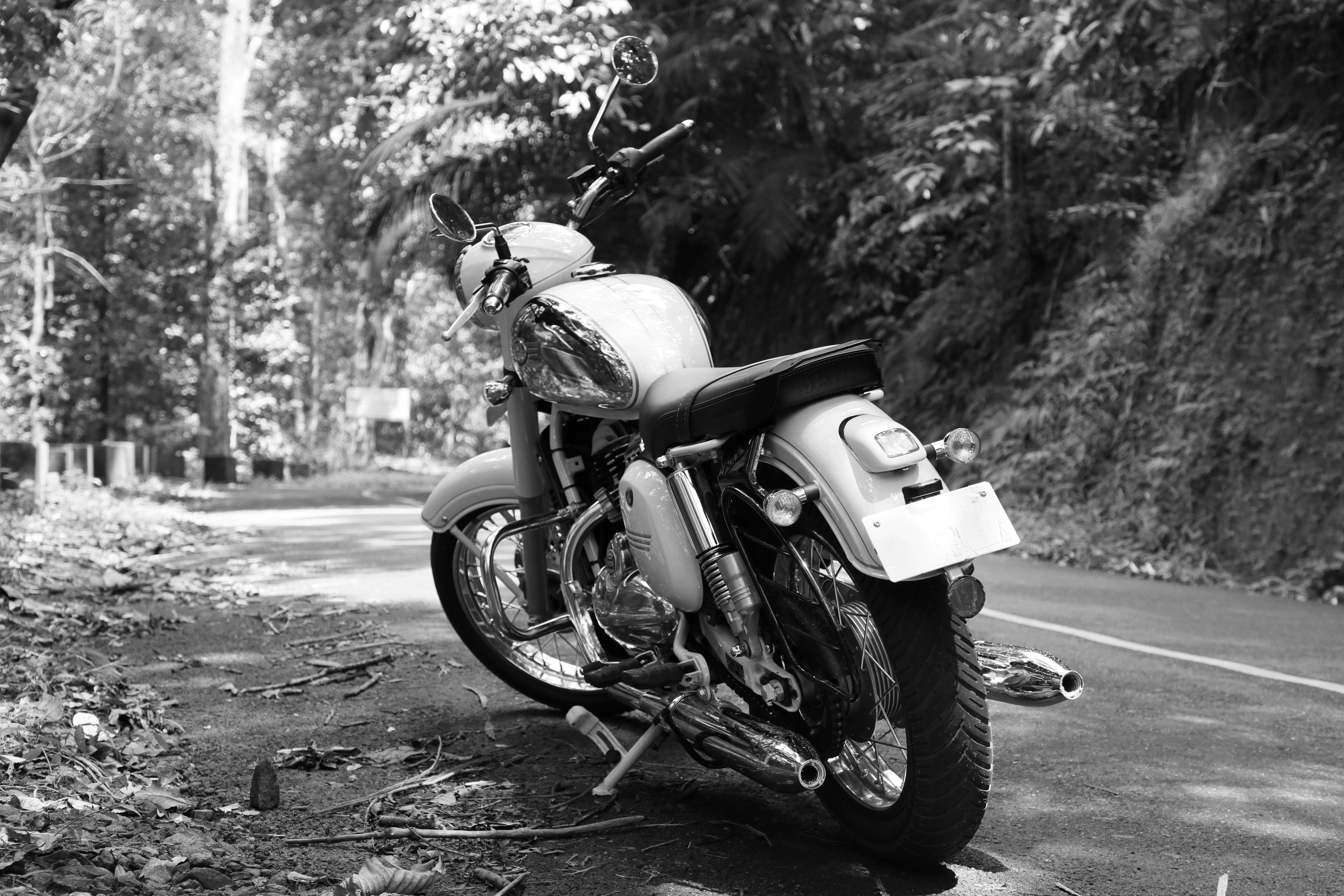 Photo by wilsanphotography