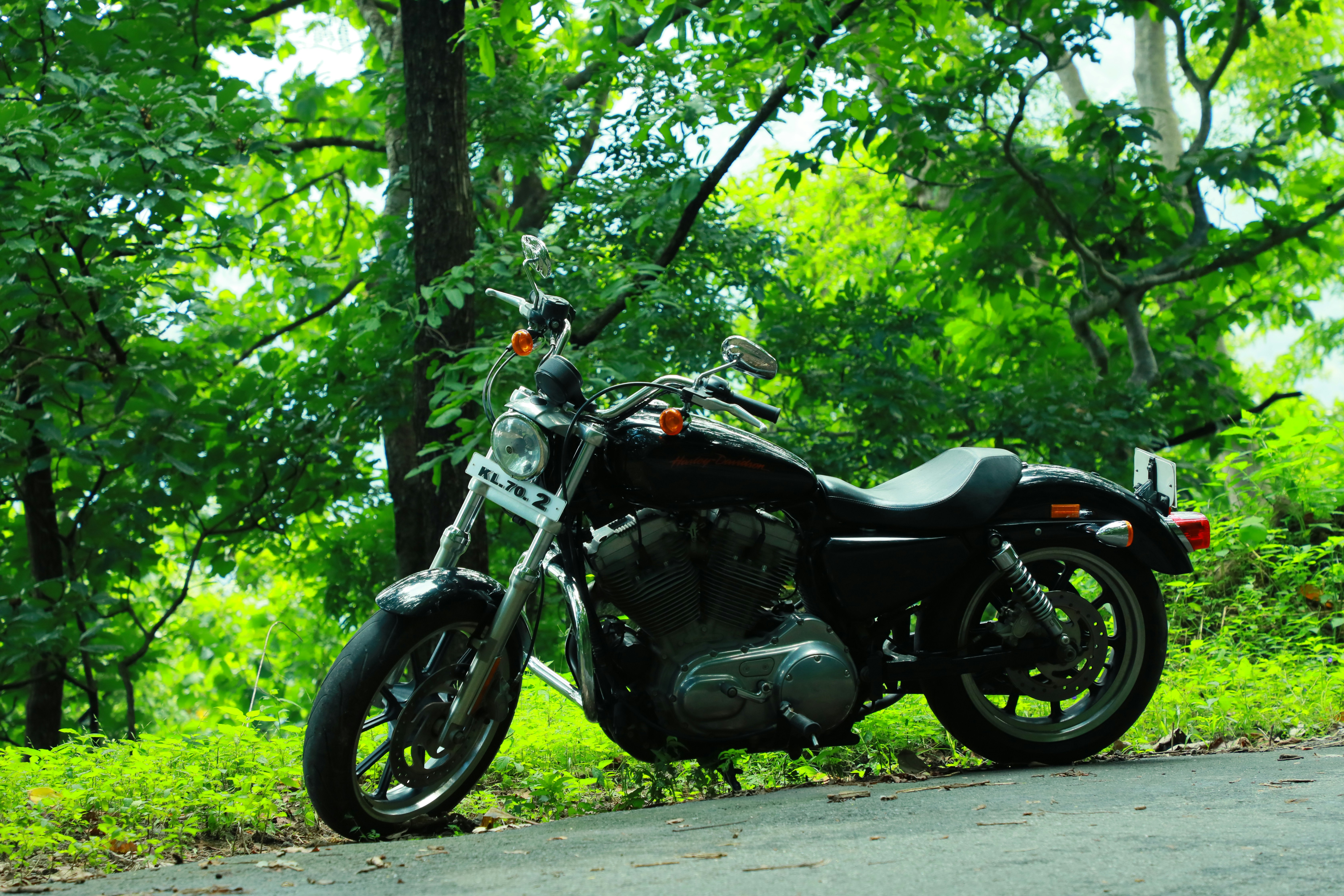 black cruiser motorcycle on road (Photo by wilsan u on Unsplash)