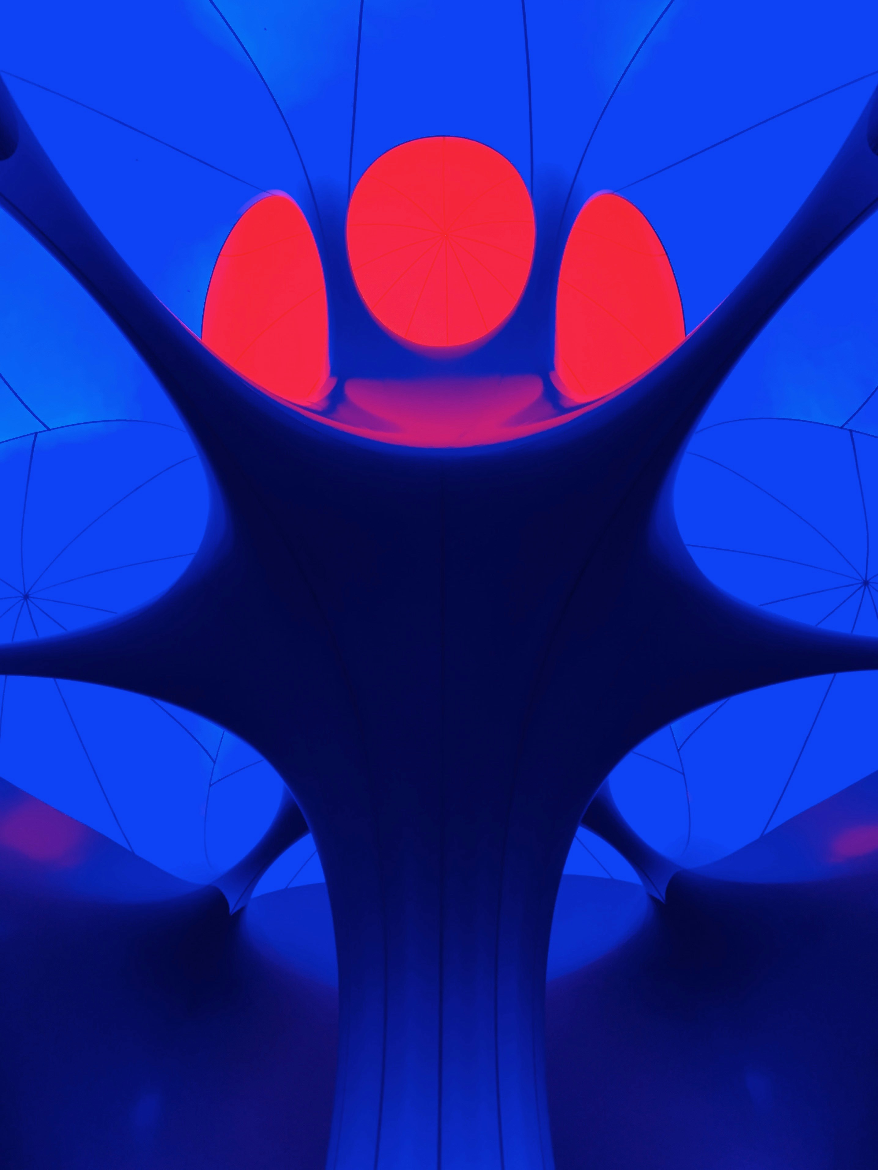 Photo by imandrewpons