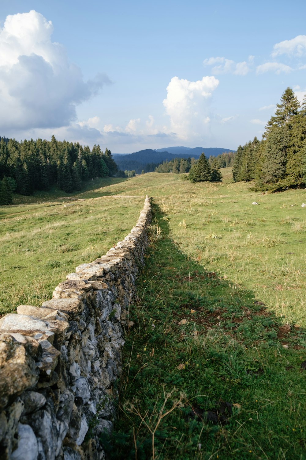 Campo abierto verde rodeado de árboles altos y verdes que ven la montaña bajo el cielo blanco y azul durante el día