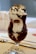A dessert served in a tall, elegant glass featuring layers of creamy vanilla ice cream and rich chocolate sauce. The top is garnished with whipped cream, chocolate drizzle, and a sprinkle of crunchy nuts. A spoon is placed nearby on the table.