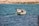A small boat with a man aboard is seen on the ocean, with a net being cast into the water. The boat is adorned with a flag that appears to have a tree emblem. The rocky coastline is visible in the background, with clear blue water surrounding the boat.