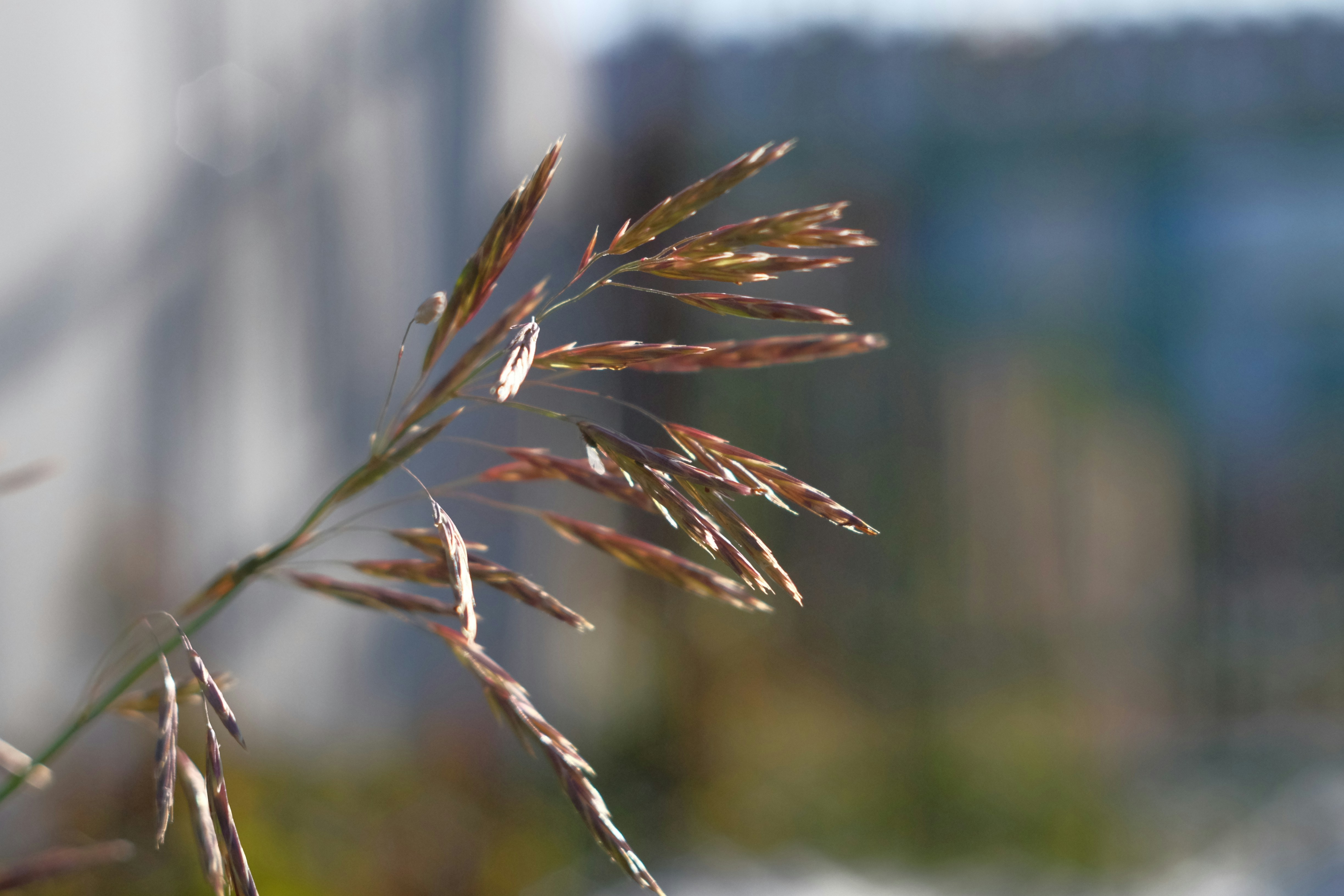 Photo by gleraisa