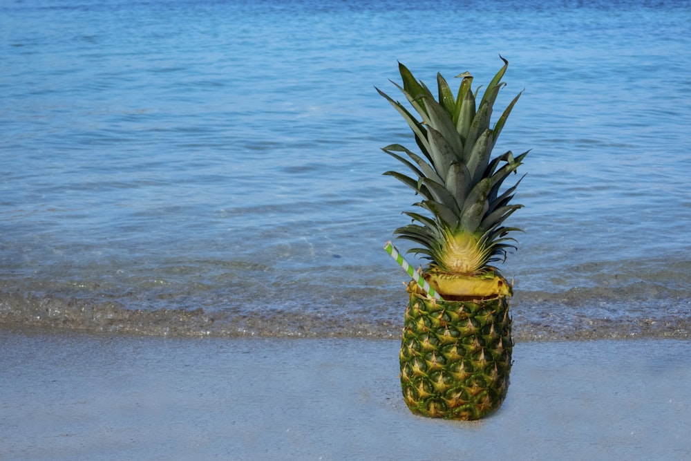 green and yellow pineapple fruit juice near seashore