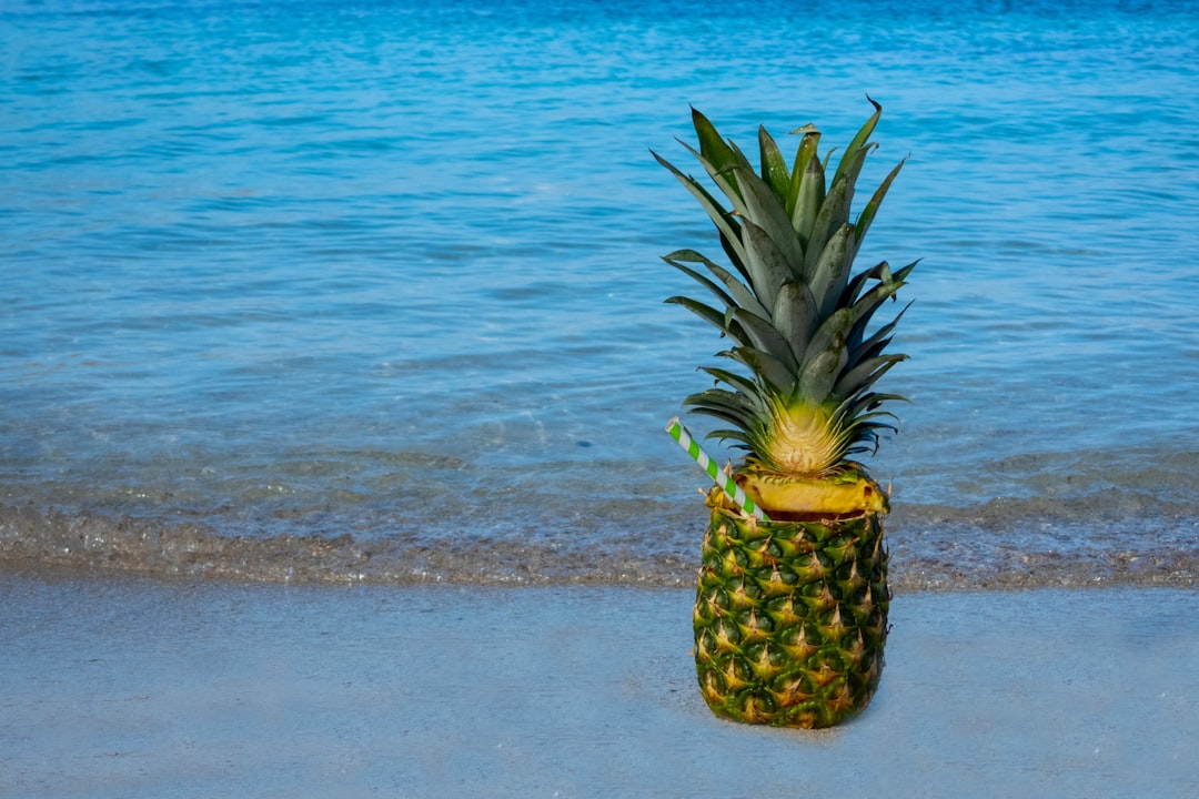 green and yellow pineapple fruit juice near seashore