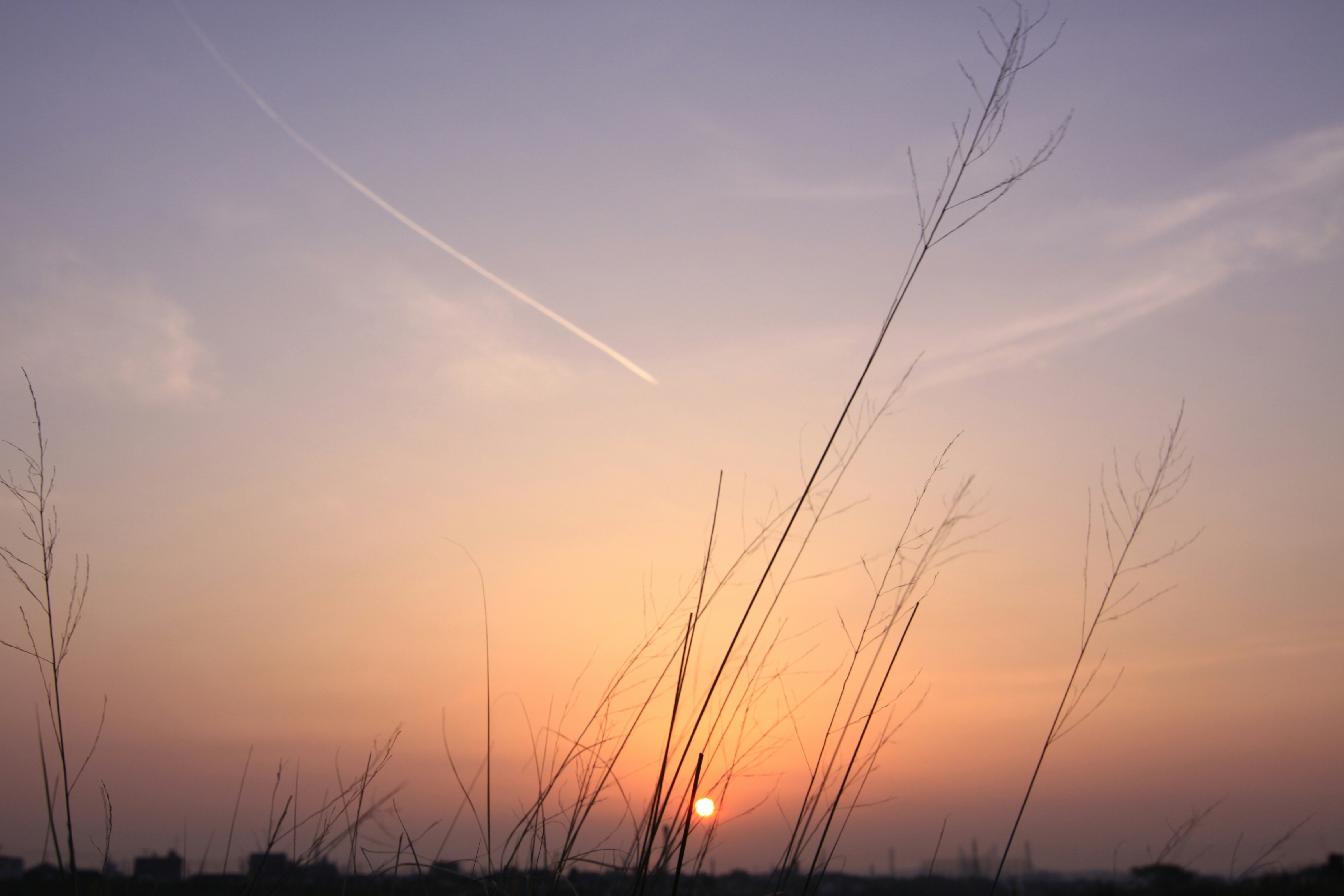 Photo by sense_photo