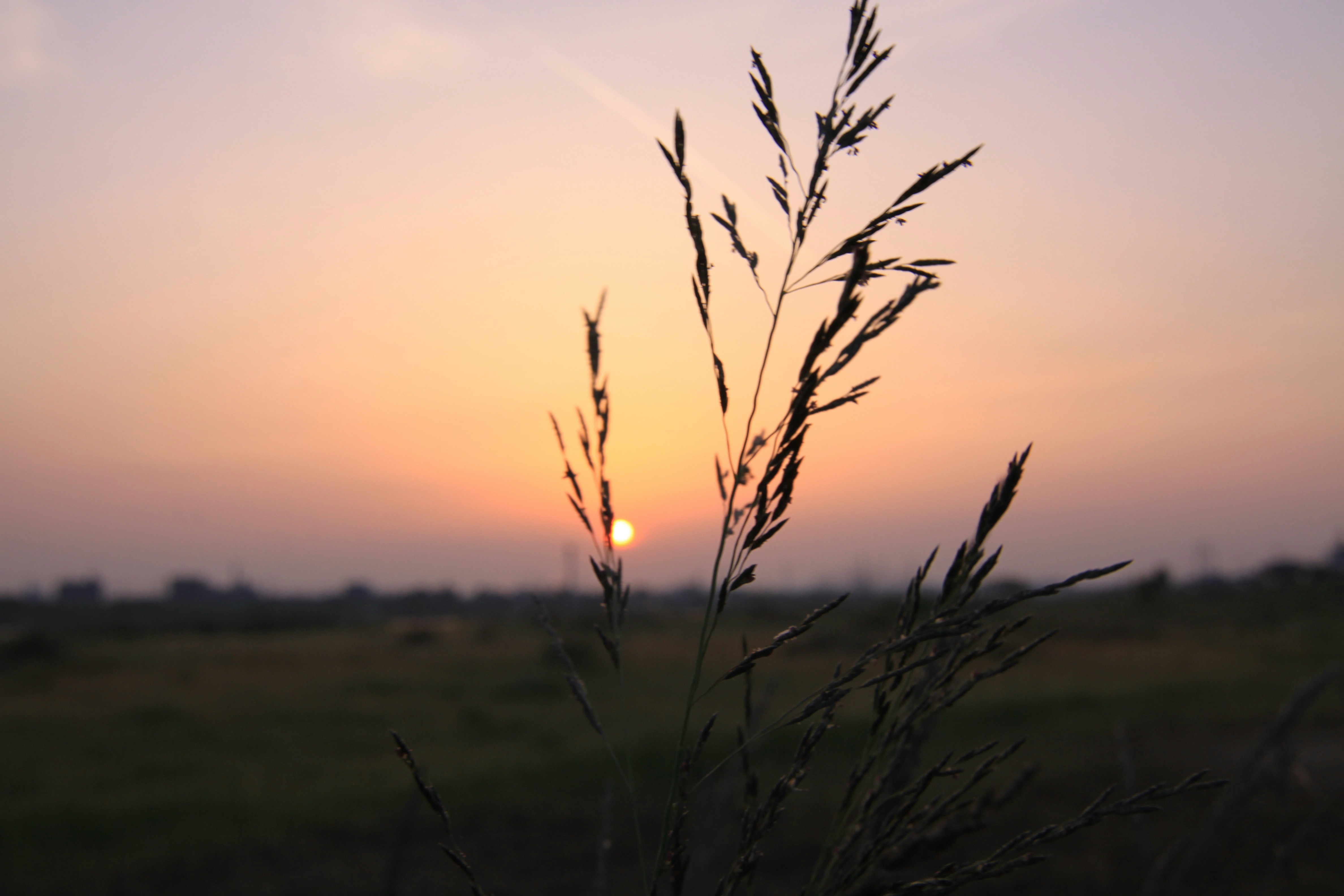 Photo by sense_photo