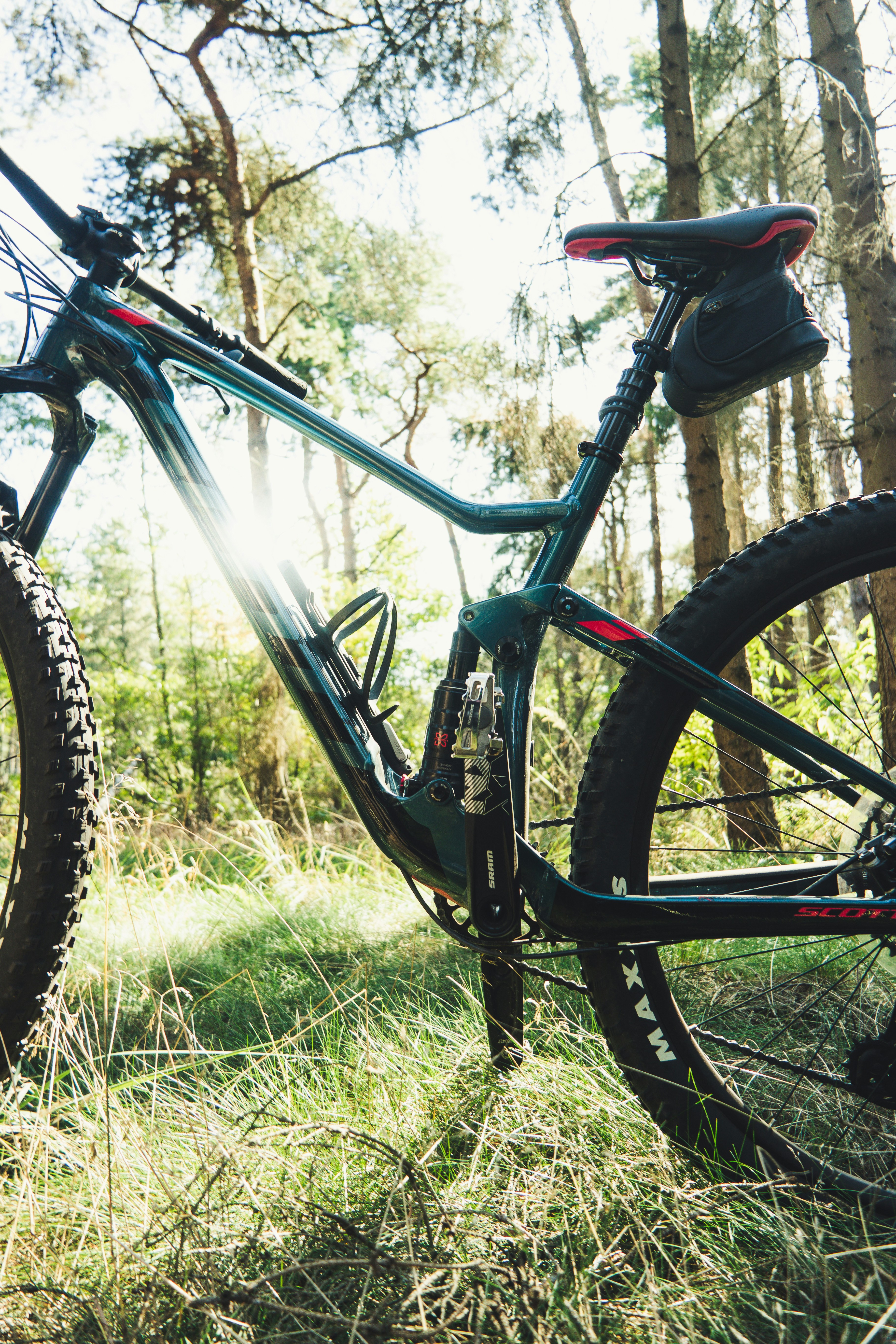 forest mountain bike, wallpaper, Mountain Biking Gear: Essentials from Your Camp 3