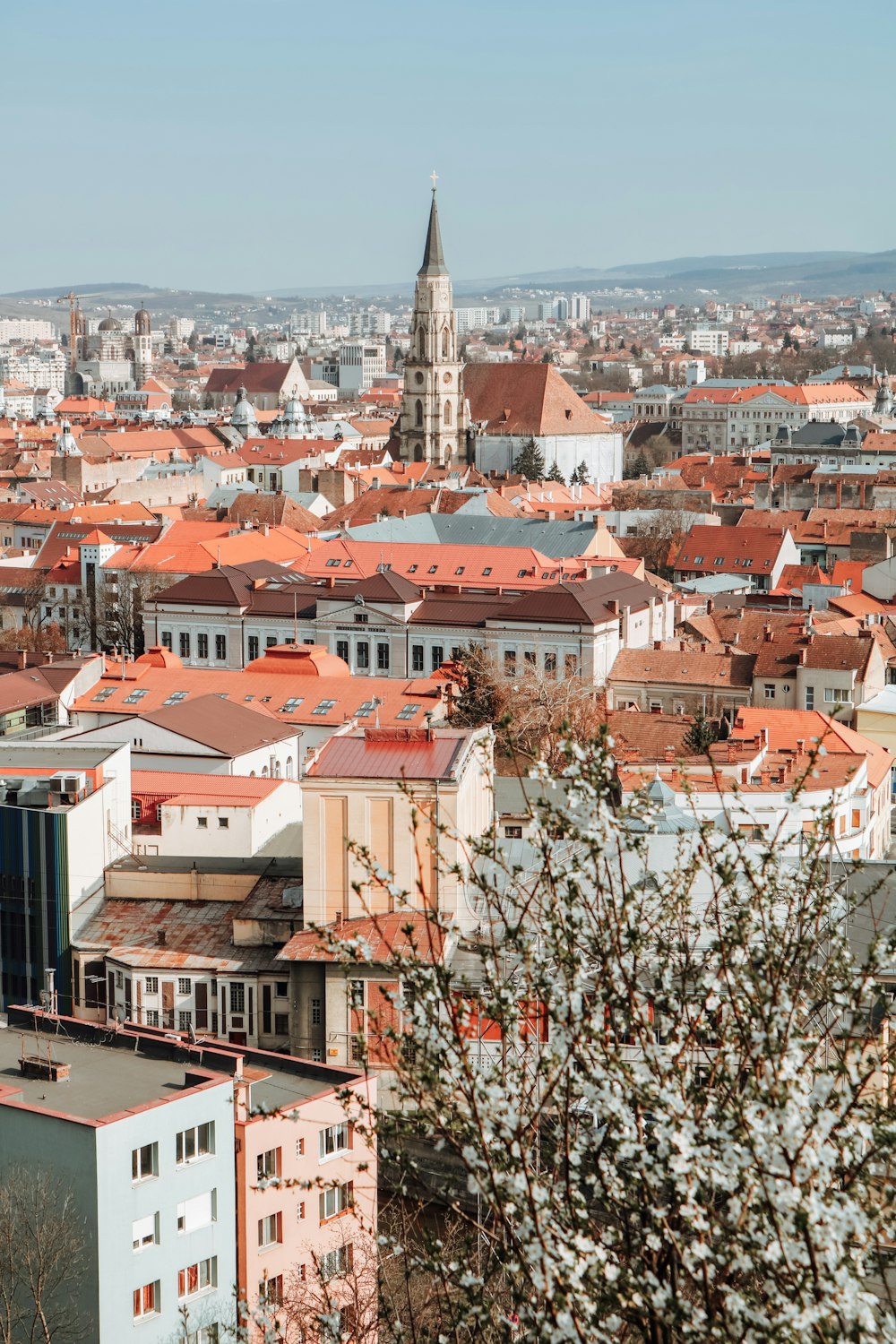 top view of buildings