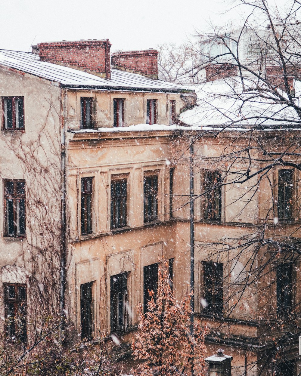 brown building during winter