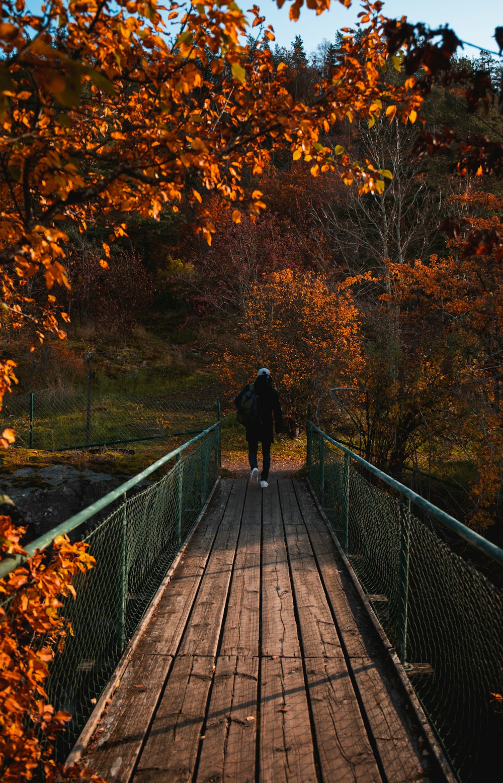 person walking on bridge surrounded with tall and orange trees during daytime