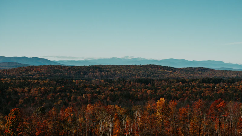 Maine & NH Market Updates