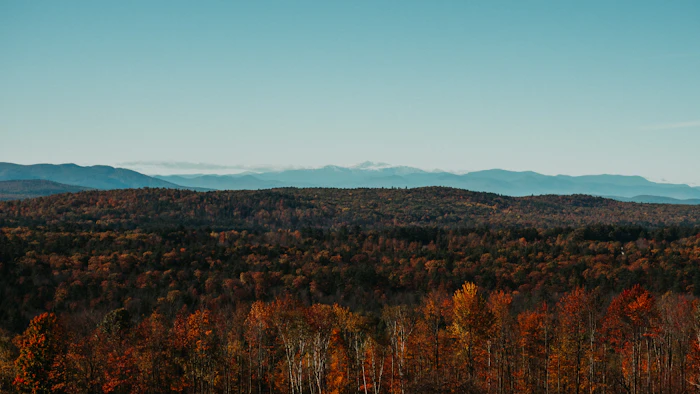 Maine coastline statewide