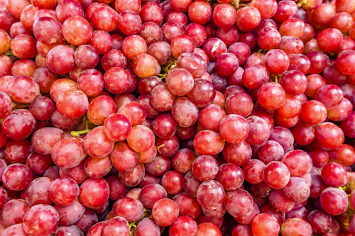 Fresh Grapes
