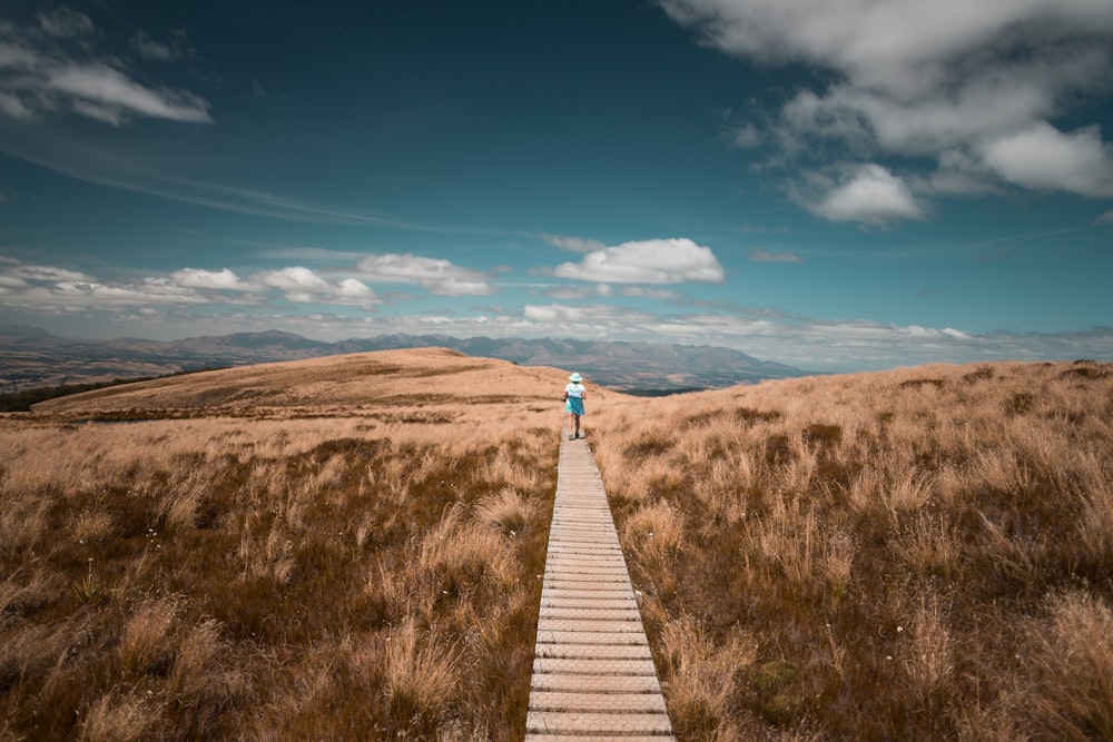 person in brown wooden bridge