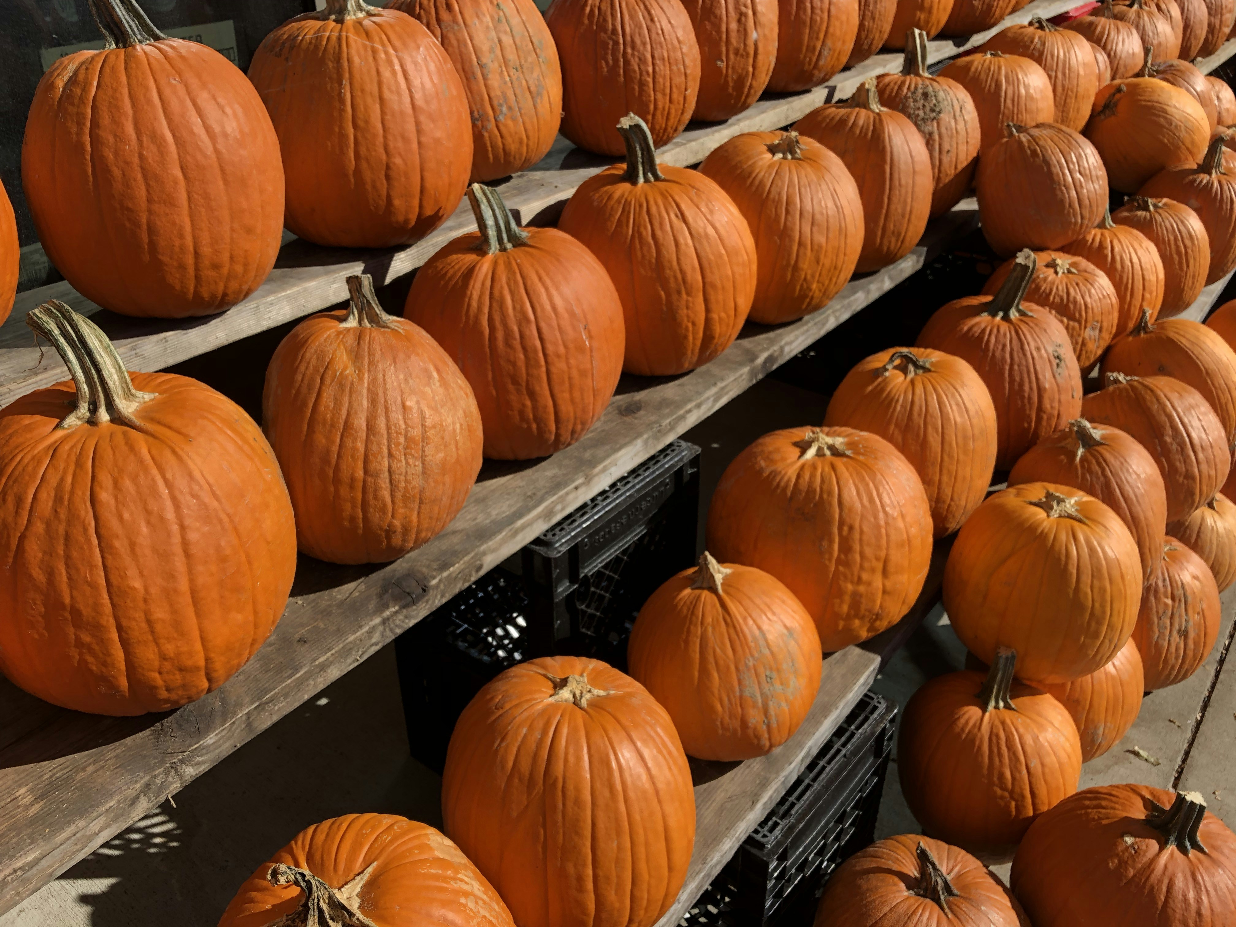 laptop friendly digital nomad freelancer cafe Ashburn