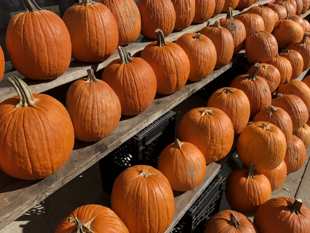 orange pumpkins