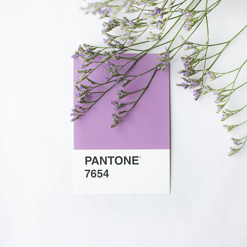 a pantone board with a bunch of flowers on it