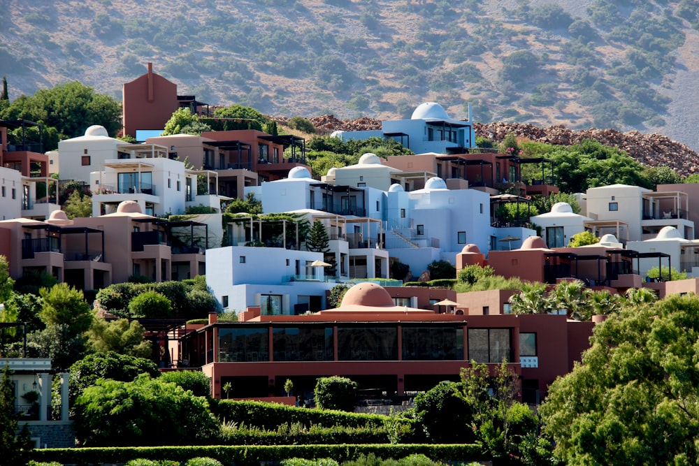 brown and white houses surrounded by trees