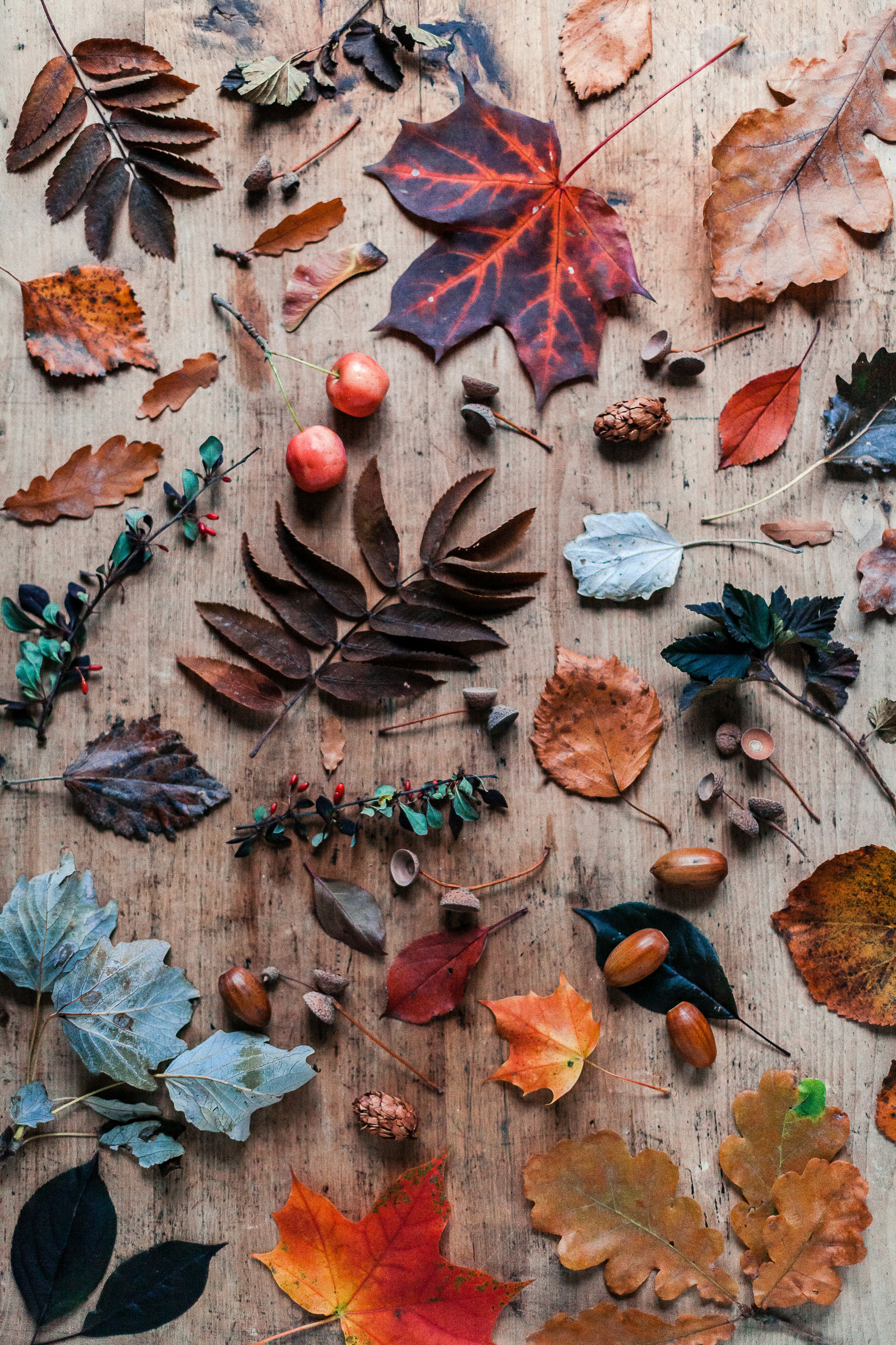 fall crafts for adults and kids, wallpaper, Fall Crafts for Adults and Kids: Creative Autumn DIY Ideas 3