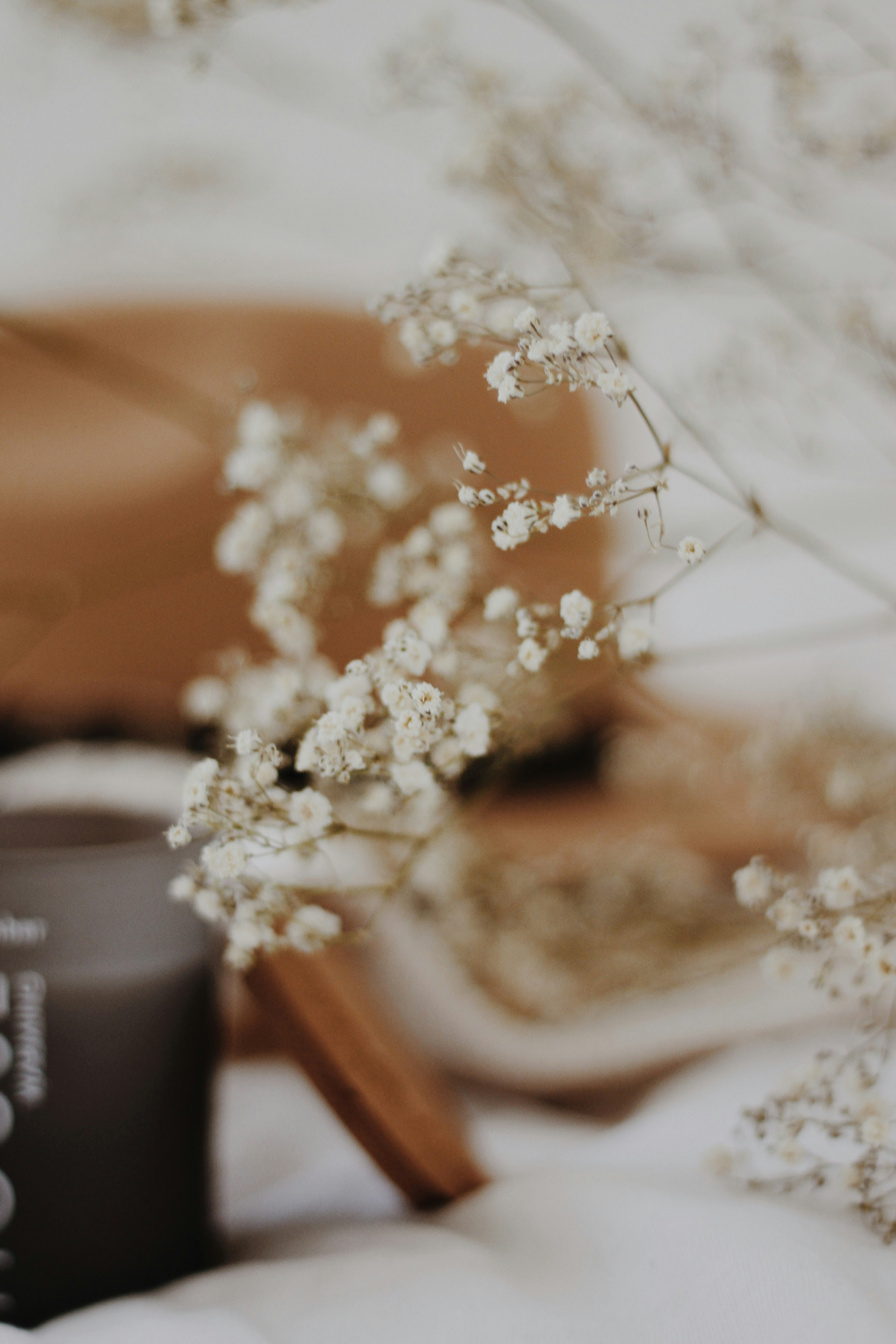 Photo by tanyatrukyr