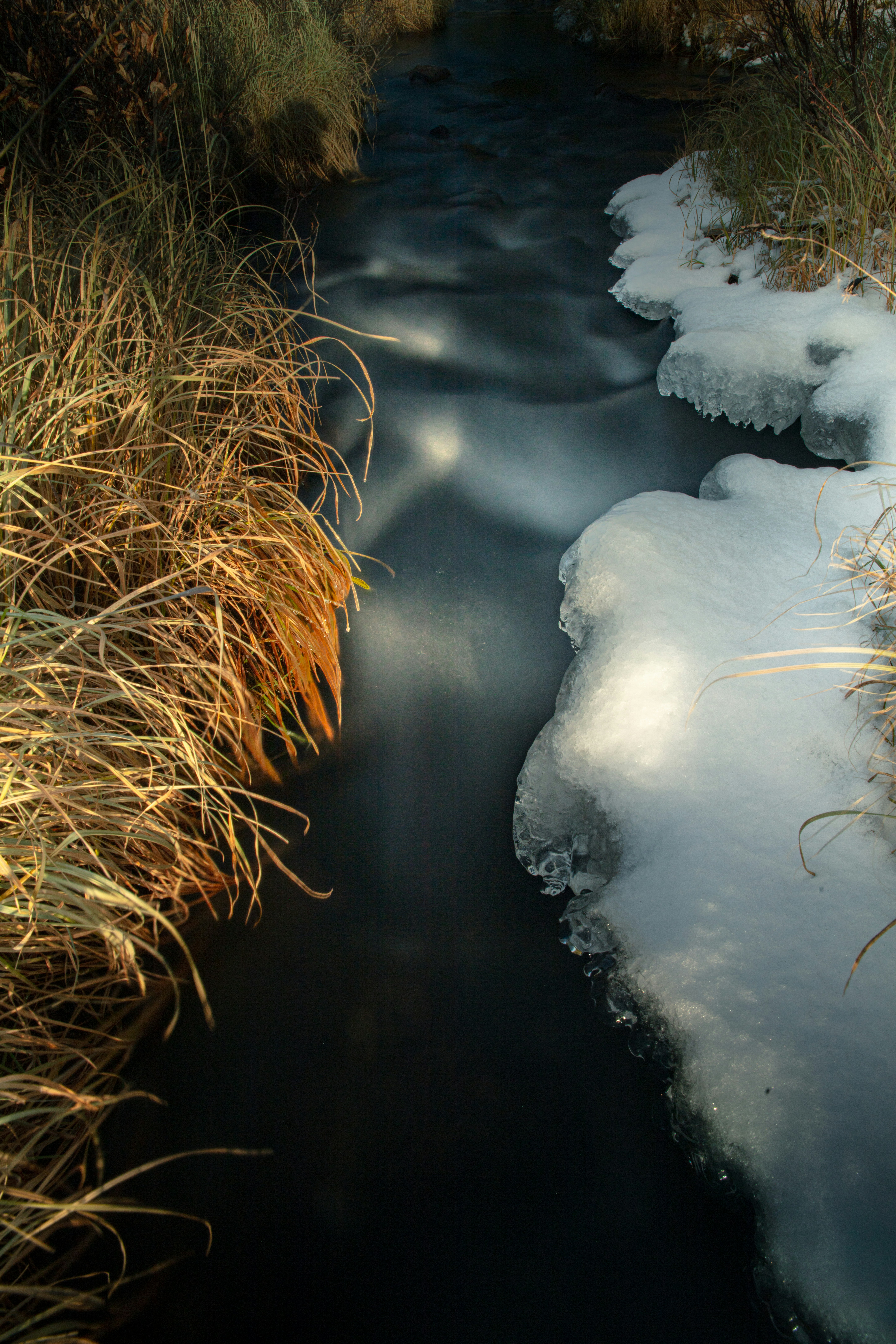 Photo by worldsbetweenlines