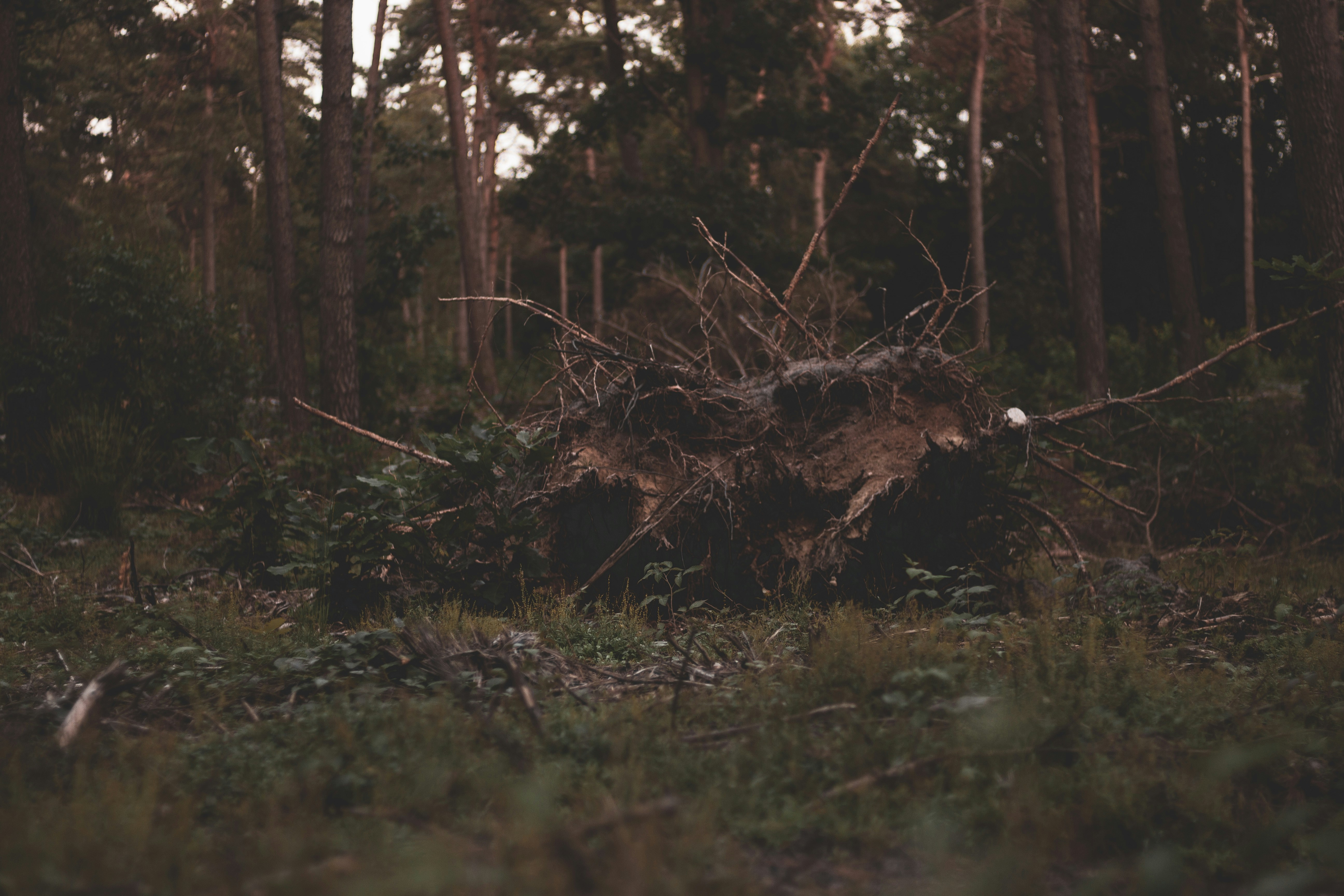 Photo by samtekiefte