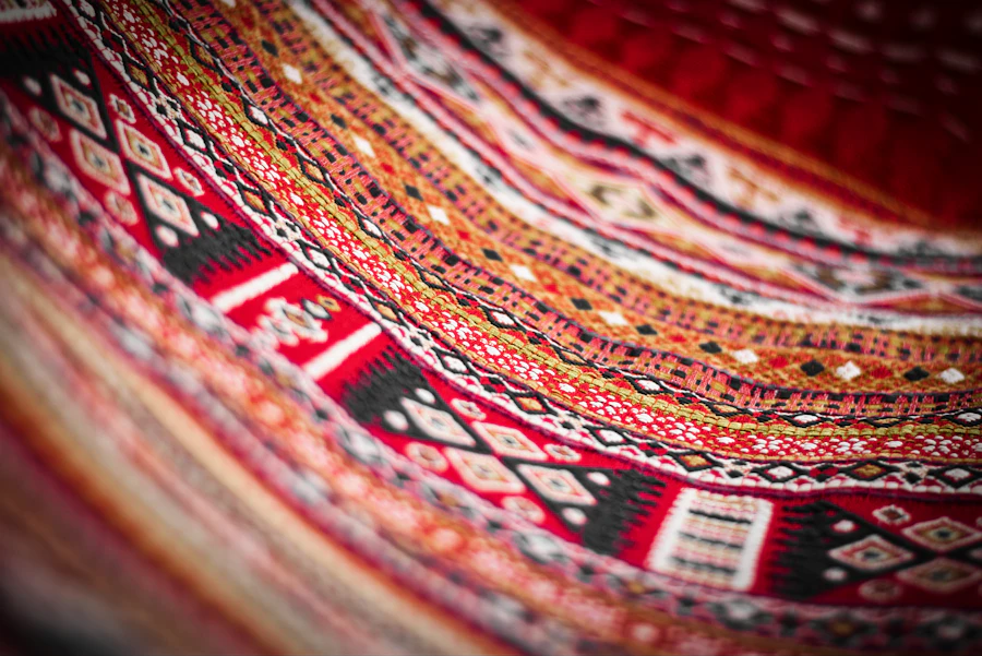 Meera Iyer · work 2