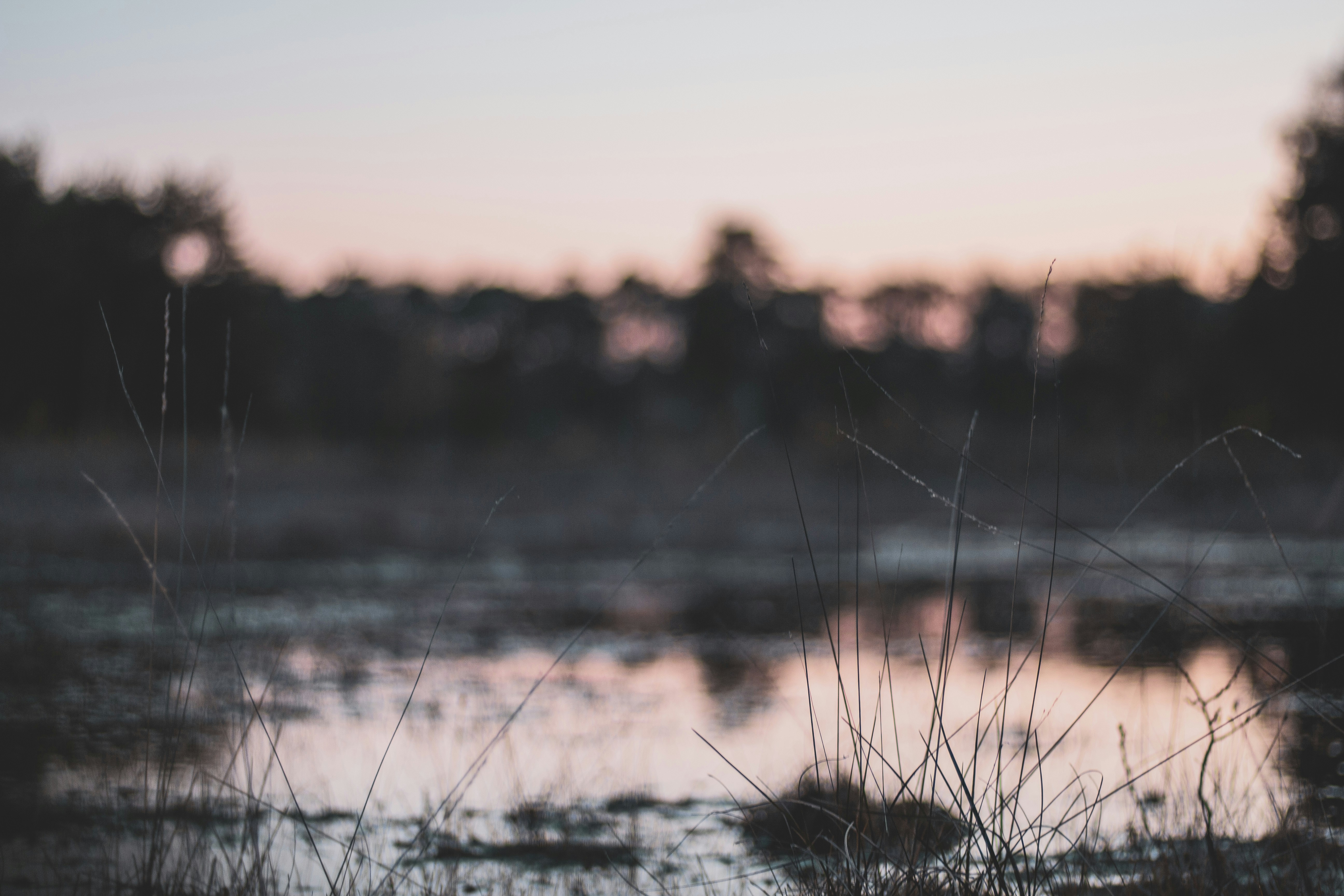 Photo by samtekiefte
