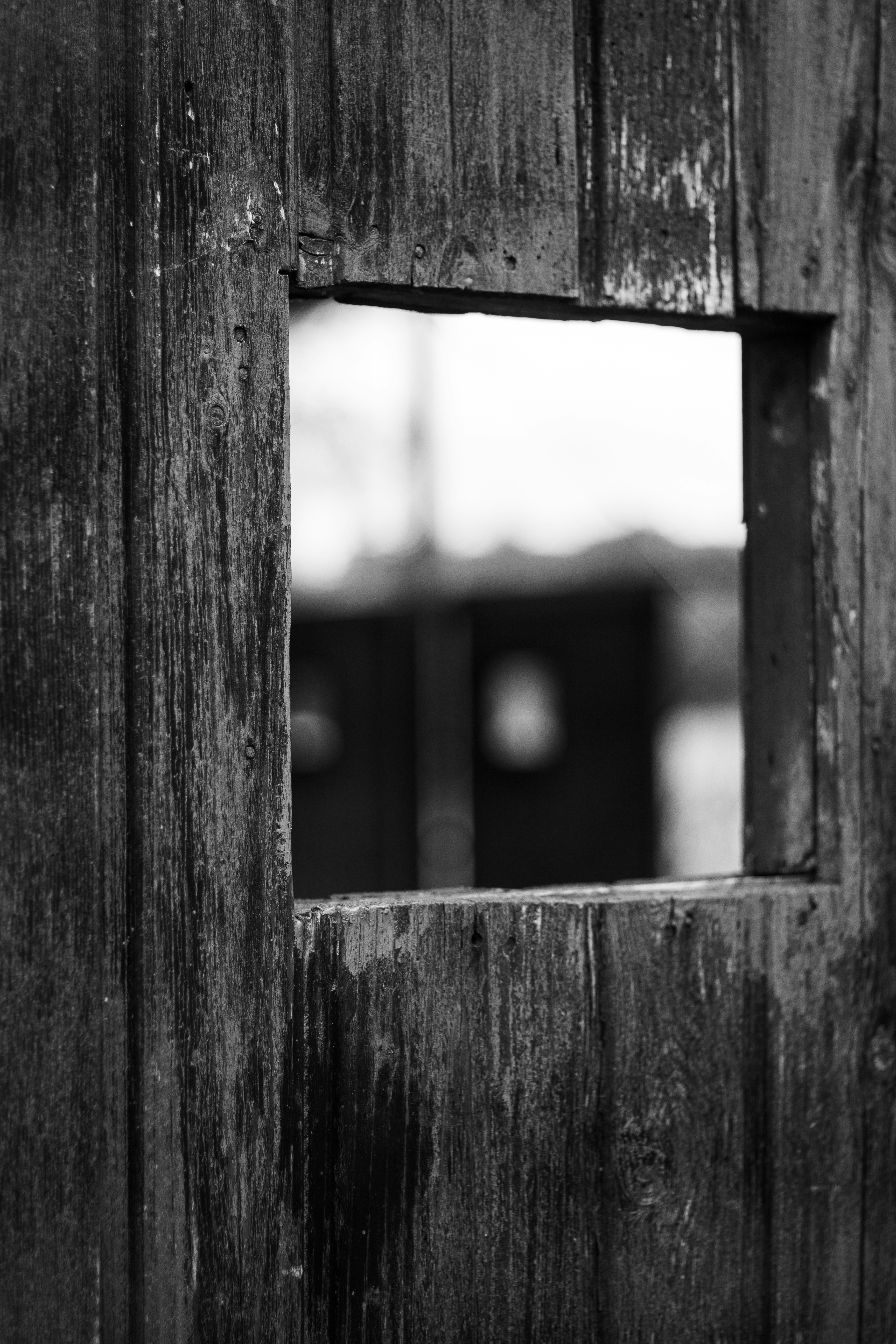 Photo by samtekiefte