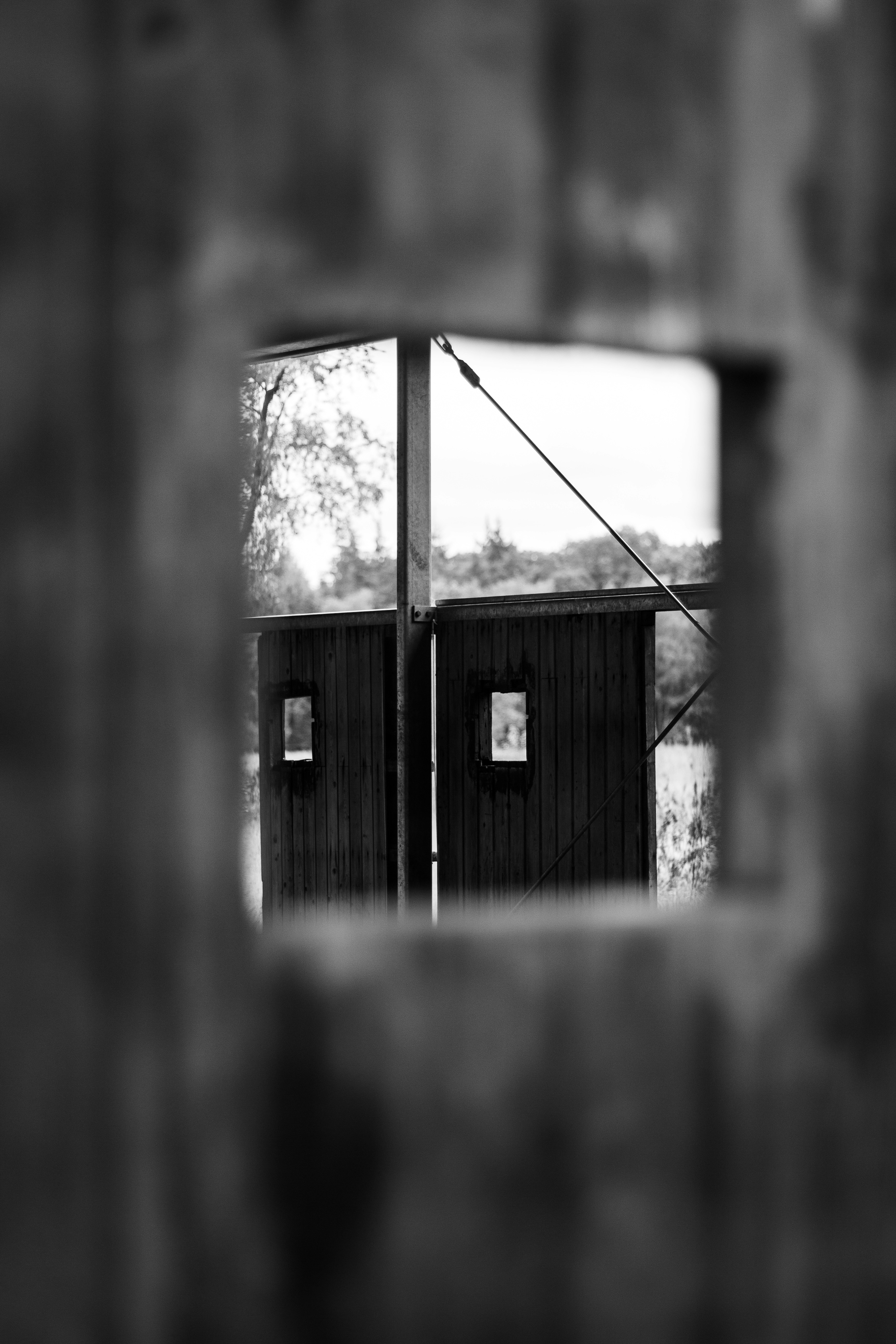 Photo by samtekiefte