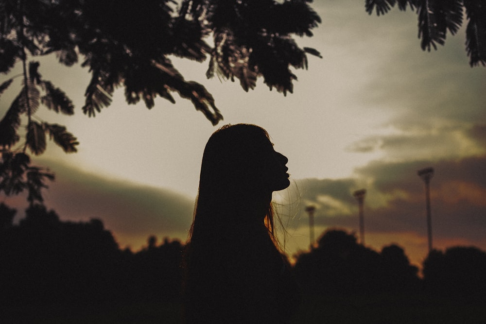 silhouette of woman beside tree during golden hour