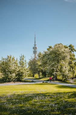 gray concrete tower surrounded by green trees